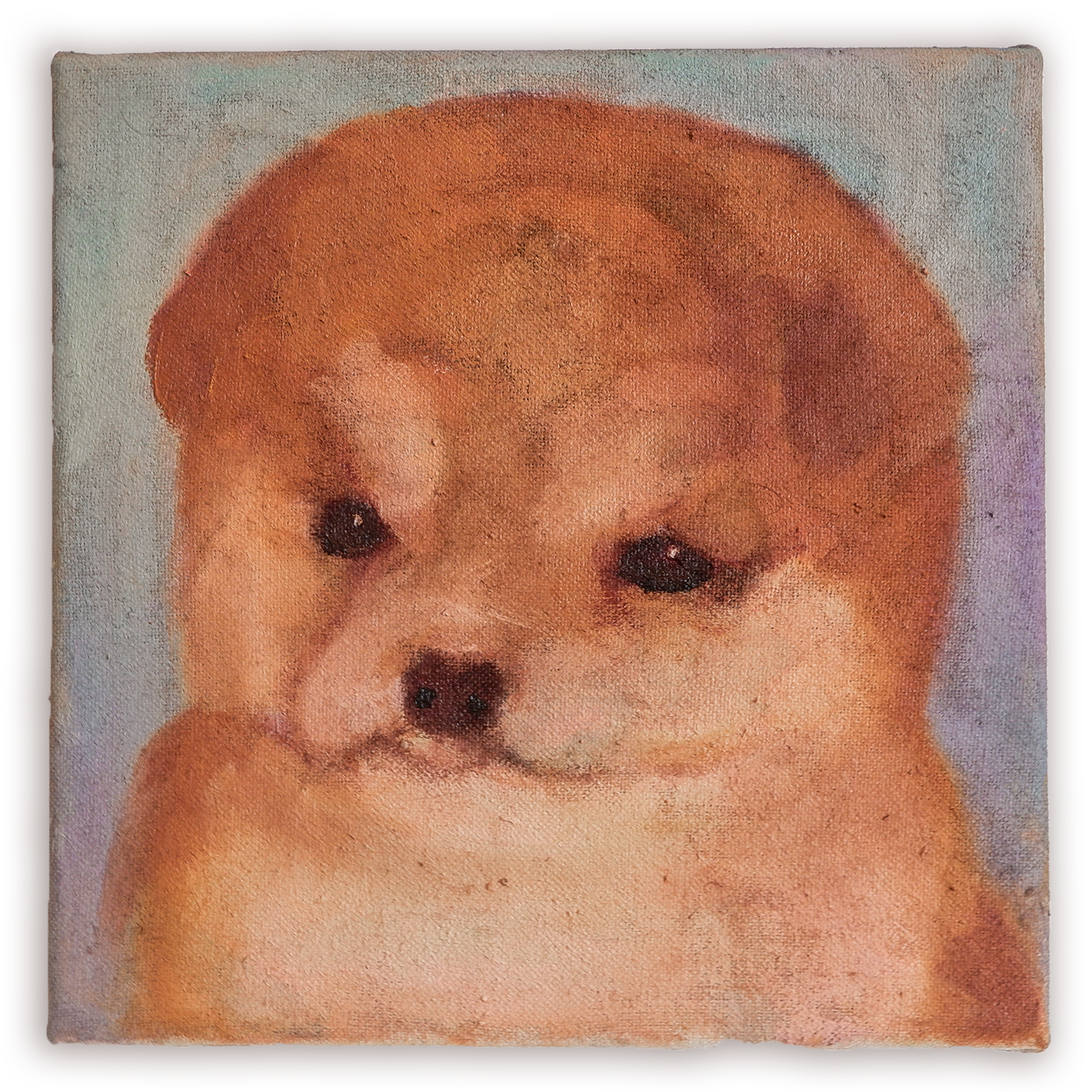 Toast