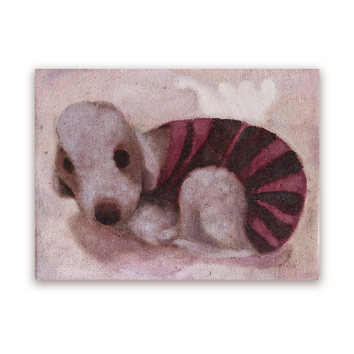 Dog in a Sock
