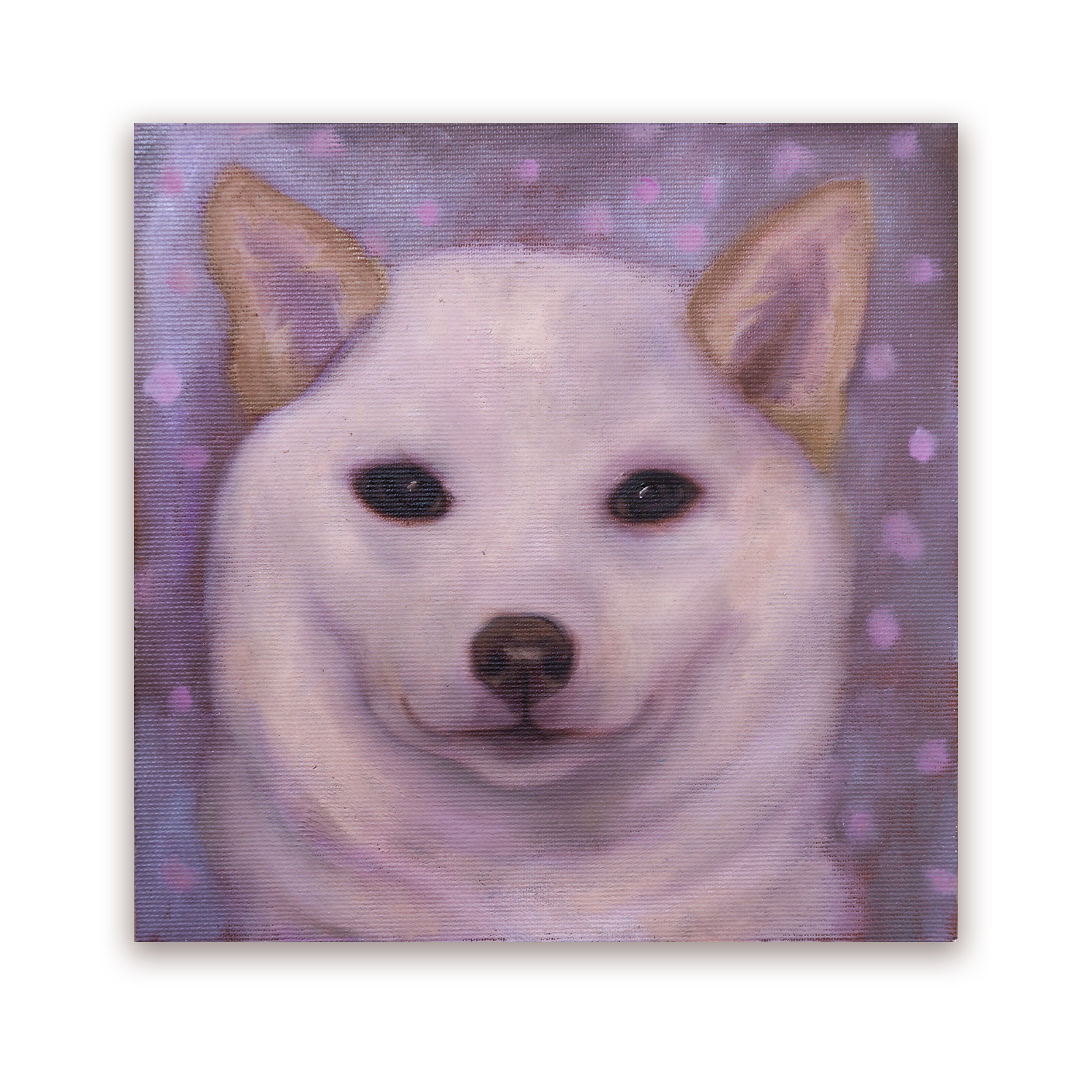 yosh.png