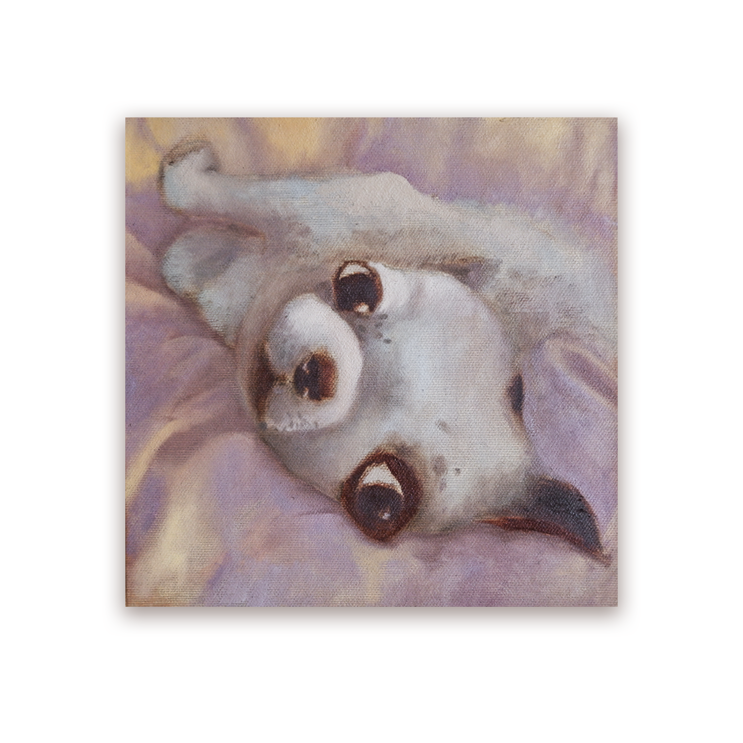 QQQQQQQQ.png