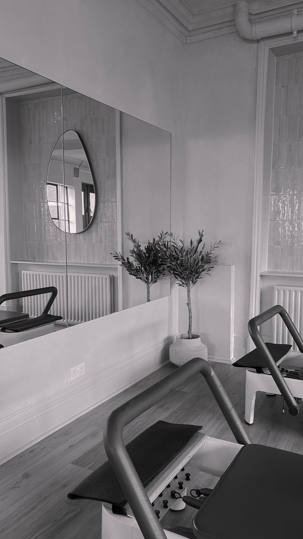 Interior of a fitness or workout room with exercise equipment, including a rowing machine and weights, a large mirror, potted plants, and a radiator along the wall.