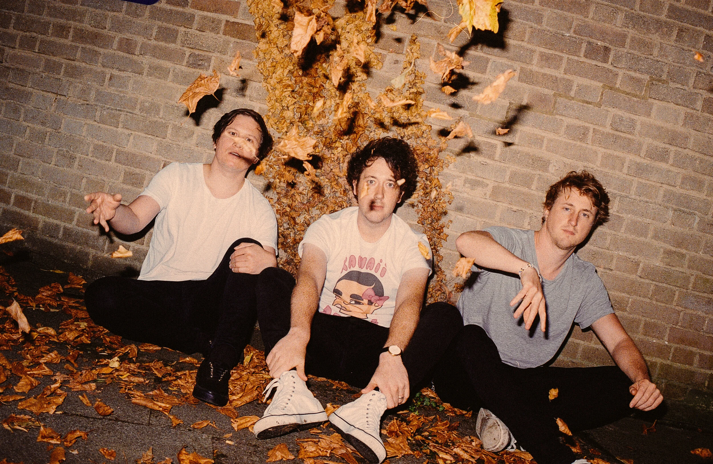 THE WOMBATS