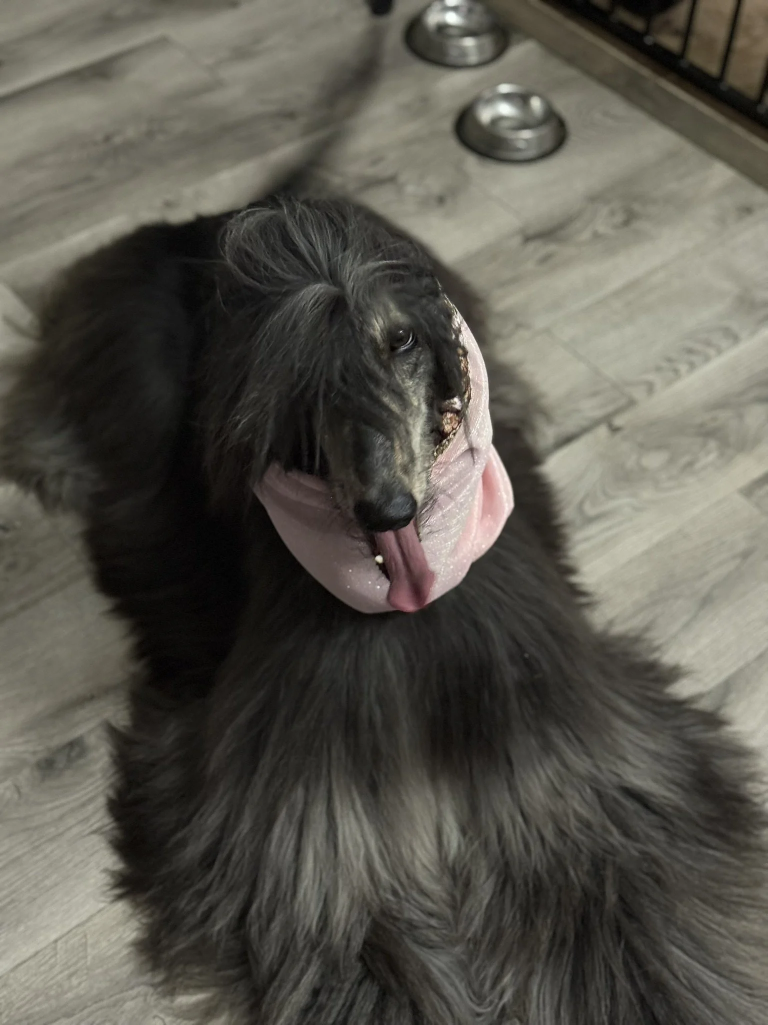 BRINK WITH PINK SNOOD.JPEG