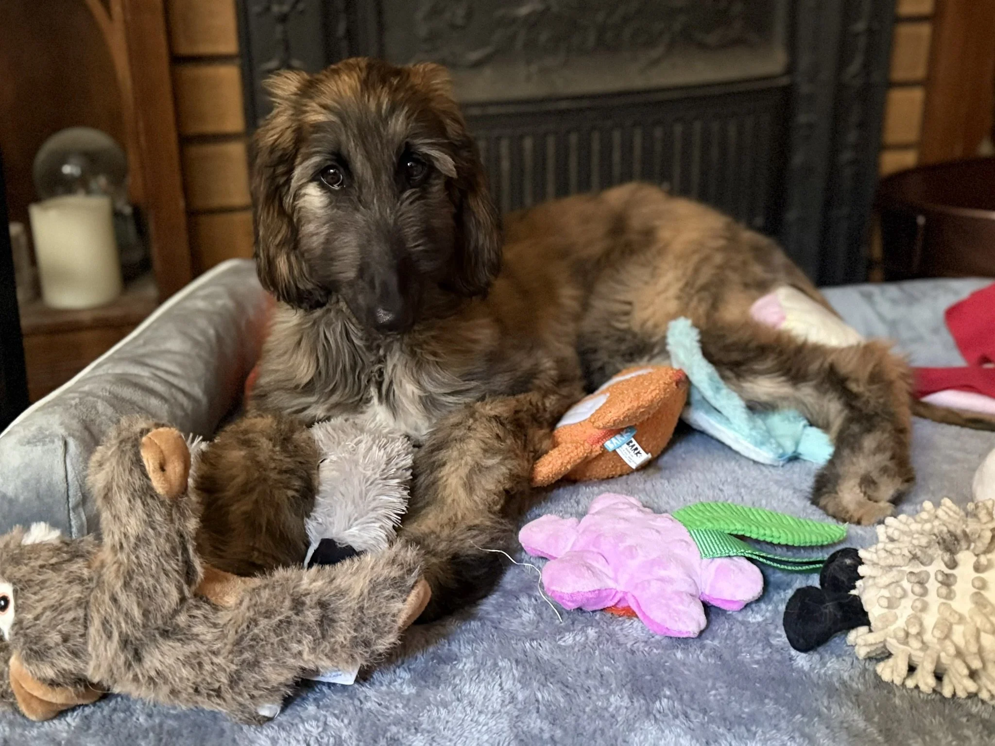 Nimue with her toys
