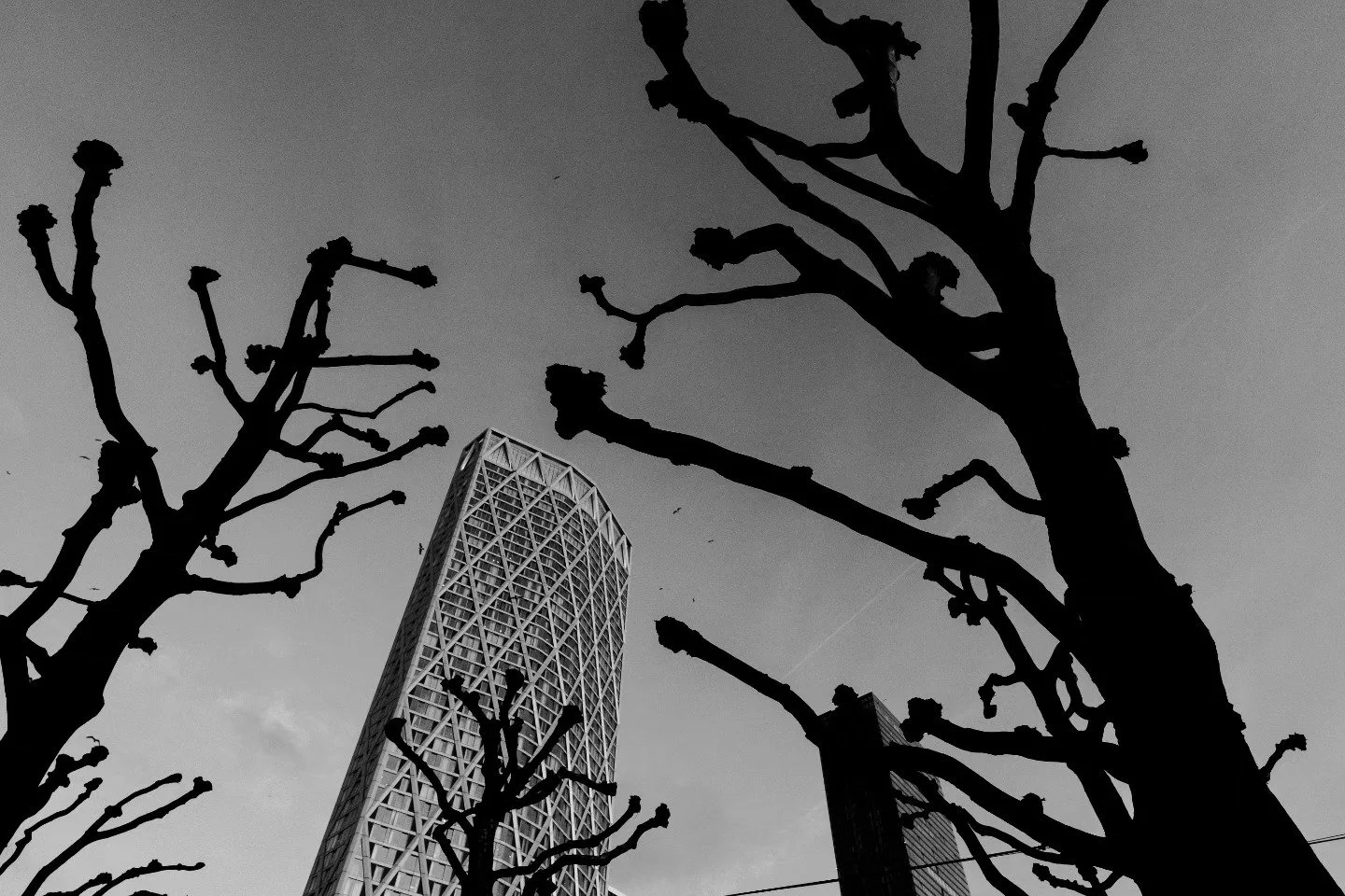 Back in Black (And White)

First Post in almost a year, I'm going to dump a few of the photos I've been taking in the last year or so in the next few days.

&bull;
&bull;
&bull;
&bull;
&bull;

#londonlife #londoncity #londonphotography #londonphotogr