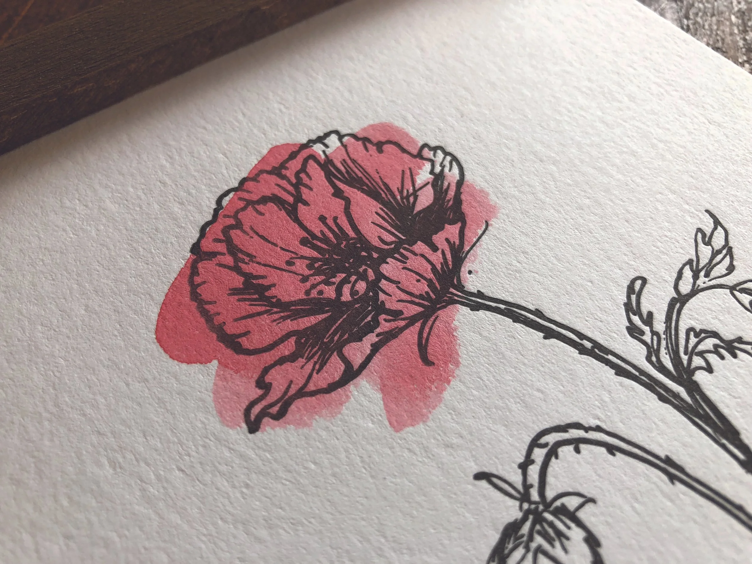 Letterpress_Poppy_2.jpg
