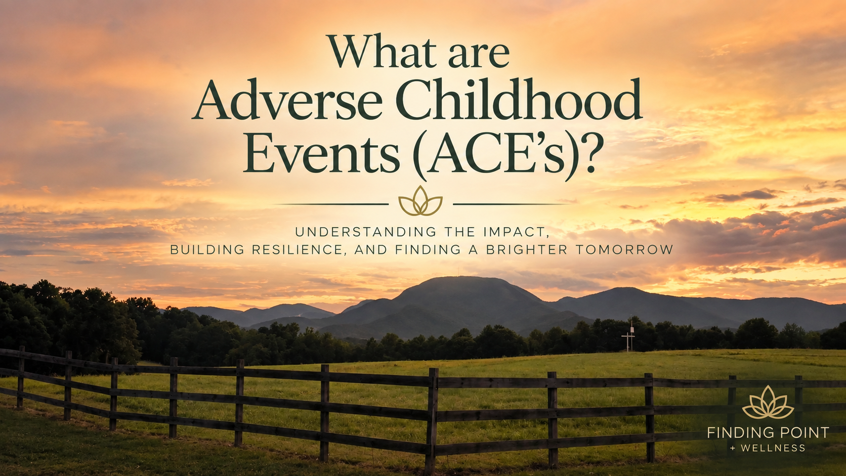 What are Adverse Childhood Experiences and Resiliency Factors?