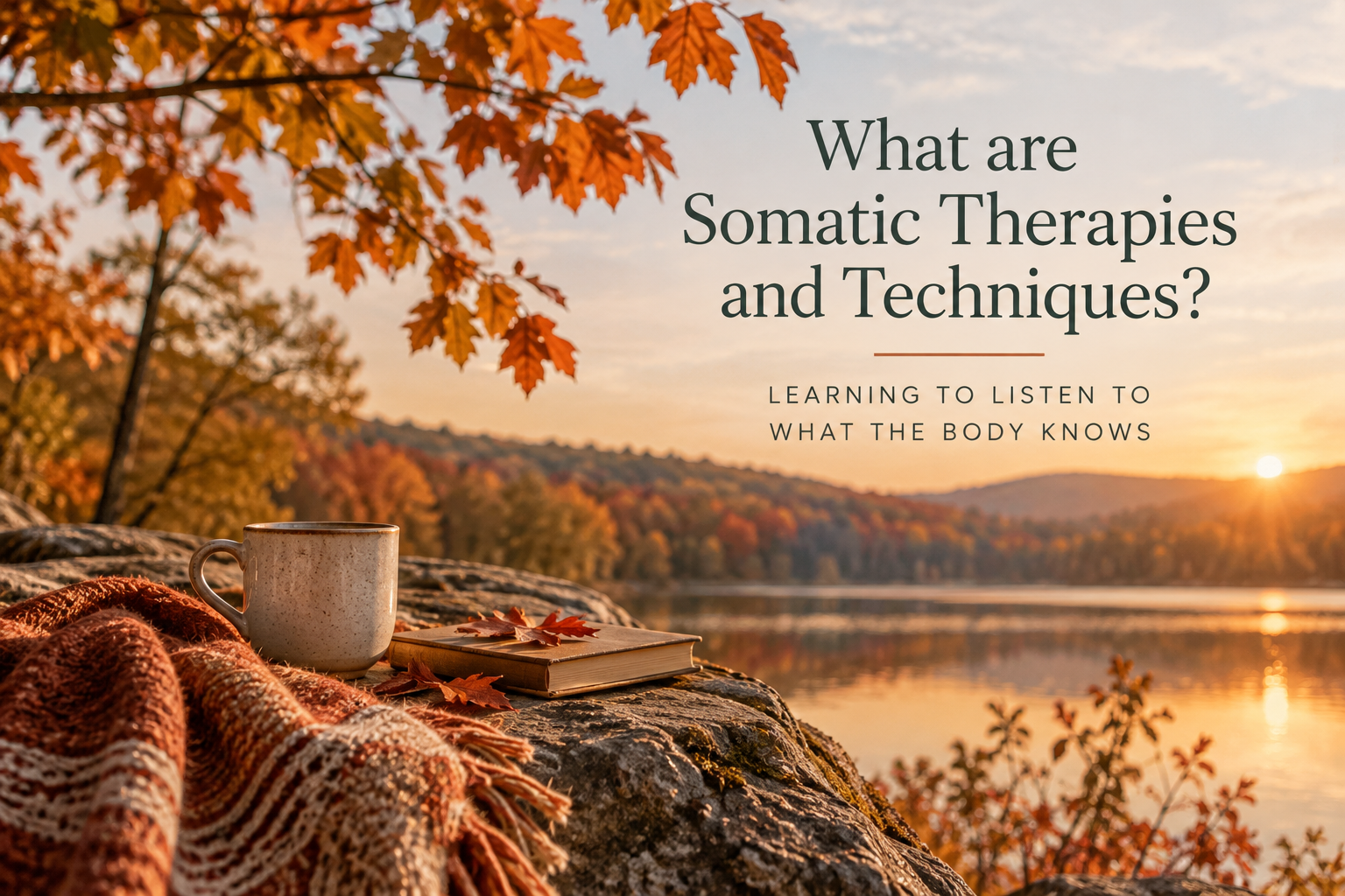 What are Somatic Therapies and Techniques?