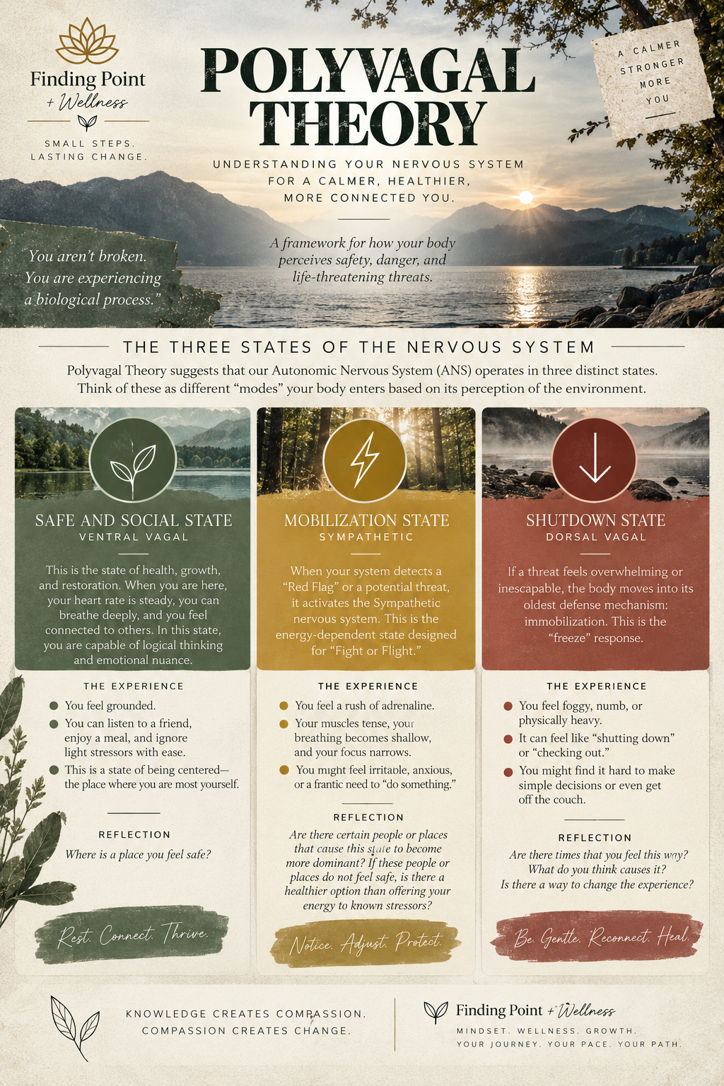 The 3 States of The Nervous System Infographic