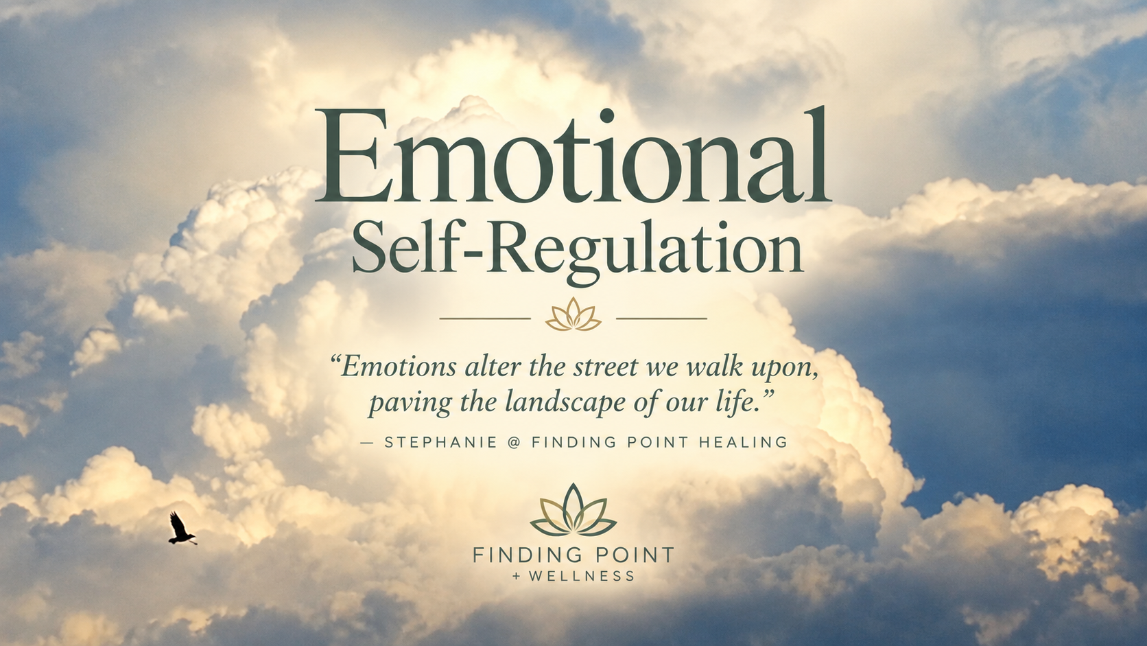 Emotional self regulation image
