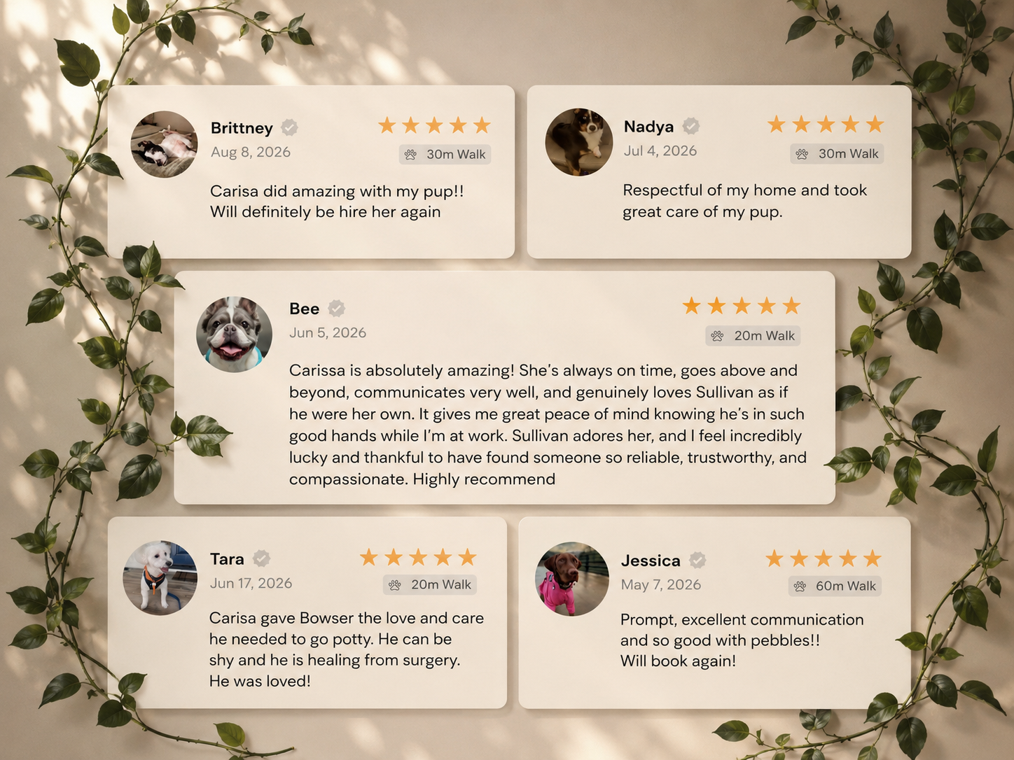 Collection of five dog walking reviews on a white background, propped up against a beige wall with green ivy. Each review includes a profile picture, name, date, star rating, walk distance, and a positive comment about dog walking services.