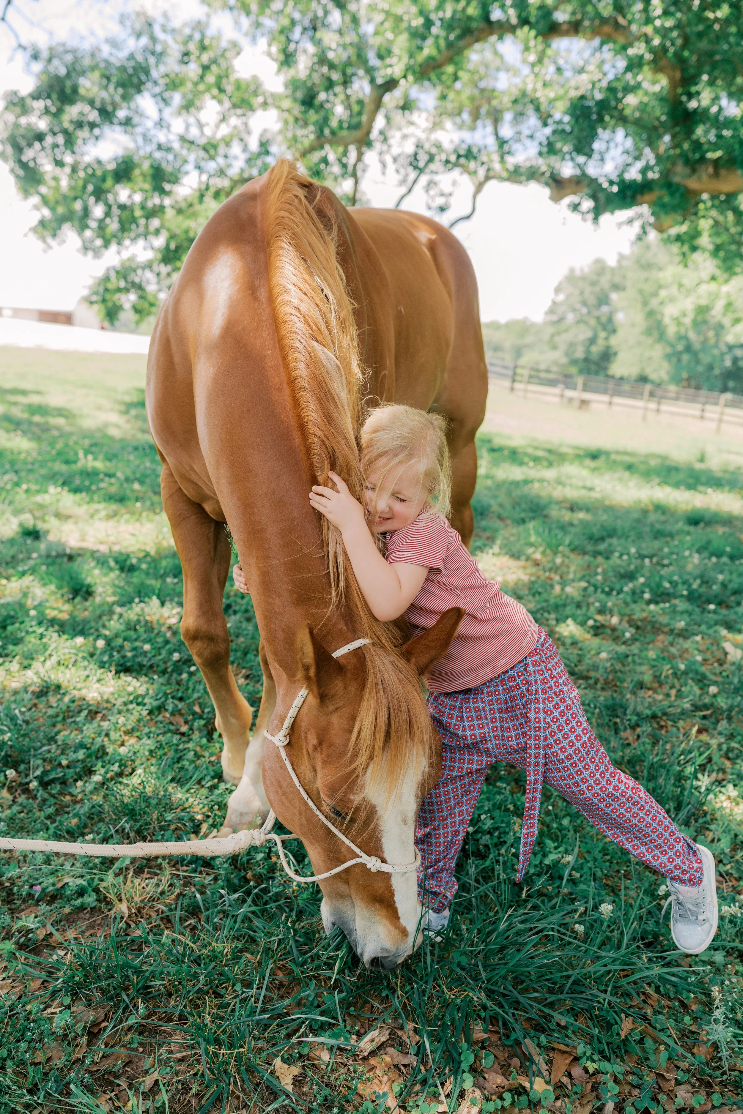 Where Horse Stories Begin
