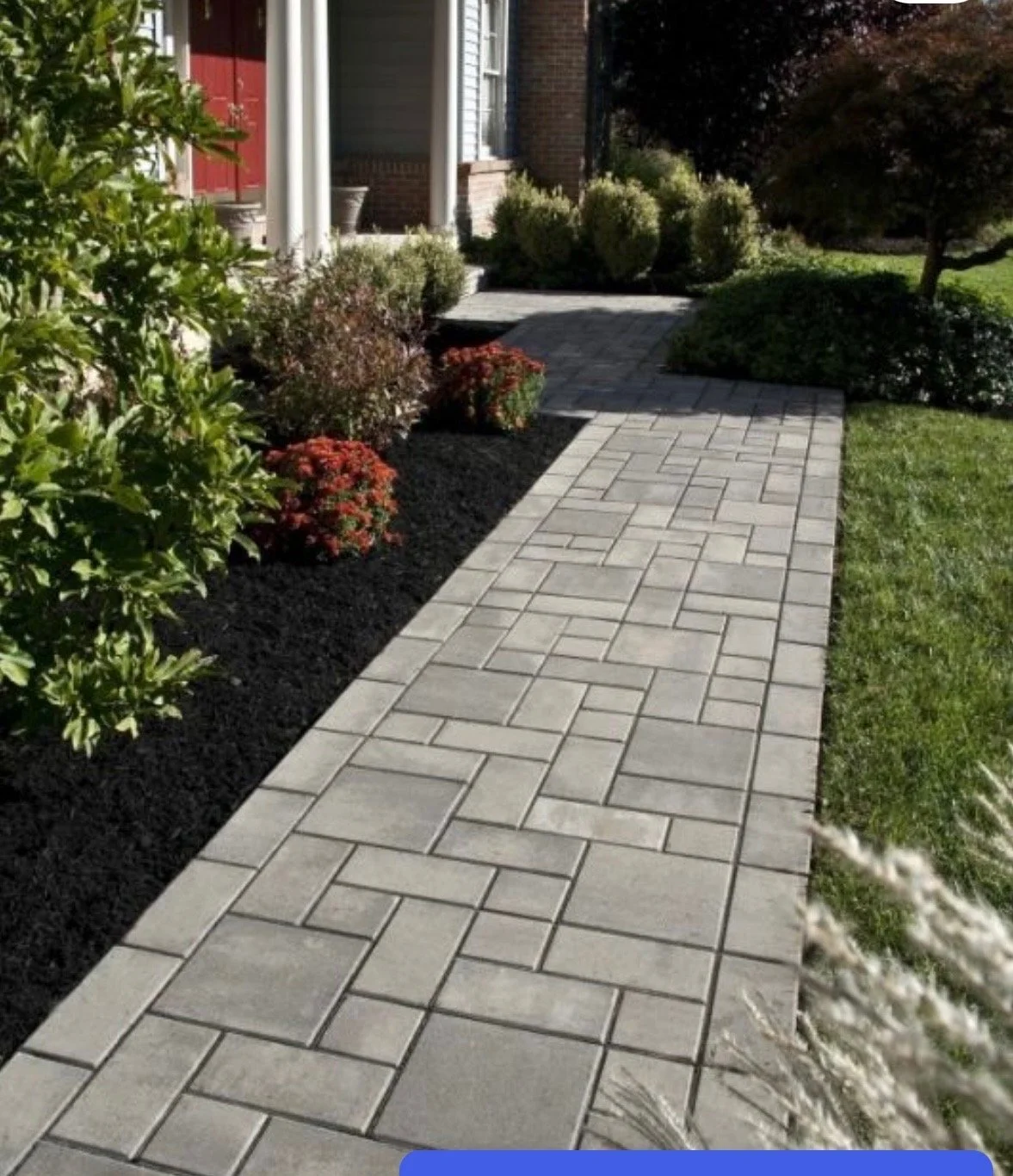Stone pathway leading to the porch of a house, surrounded by shrubs and flowering plants on a sunny day.