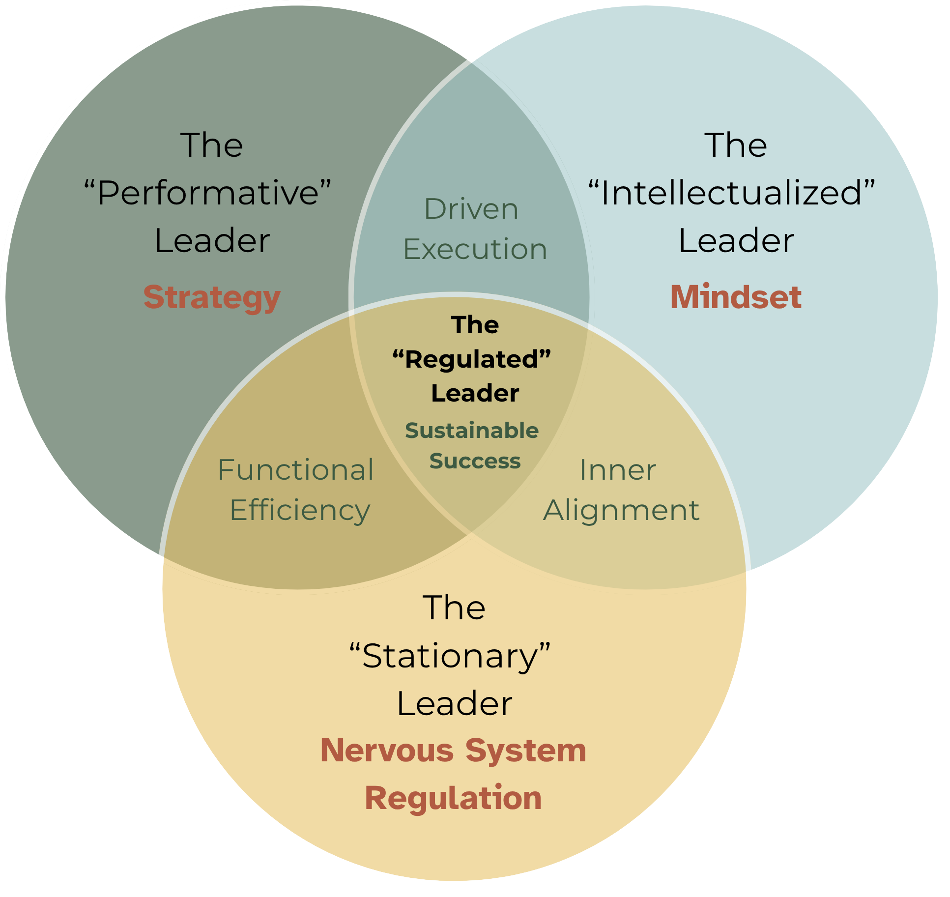 Venn diagram comparing types of leaders, including 'The Performative Leader' focused on strategy, 'The Intellectualized Leader' focused on mindset, and 'The Stationary Leader' with emphasis on the nervous system regulation, with overlapping areas indicating shared attributes and central areas labeled 'Driven Execution' and 'Sustainable Success.'