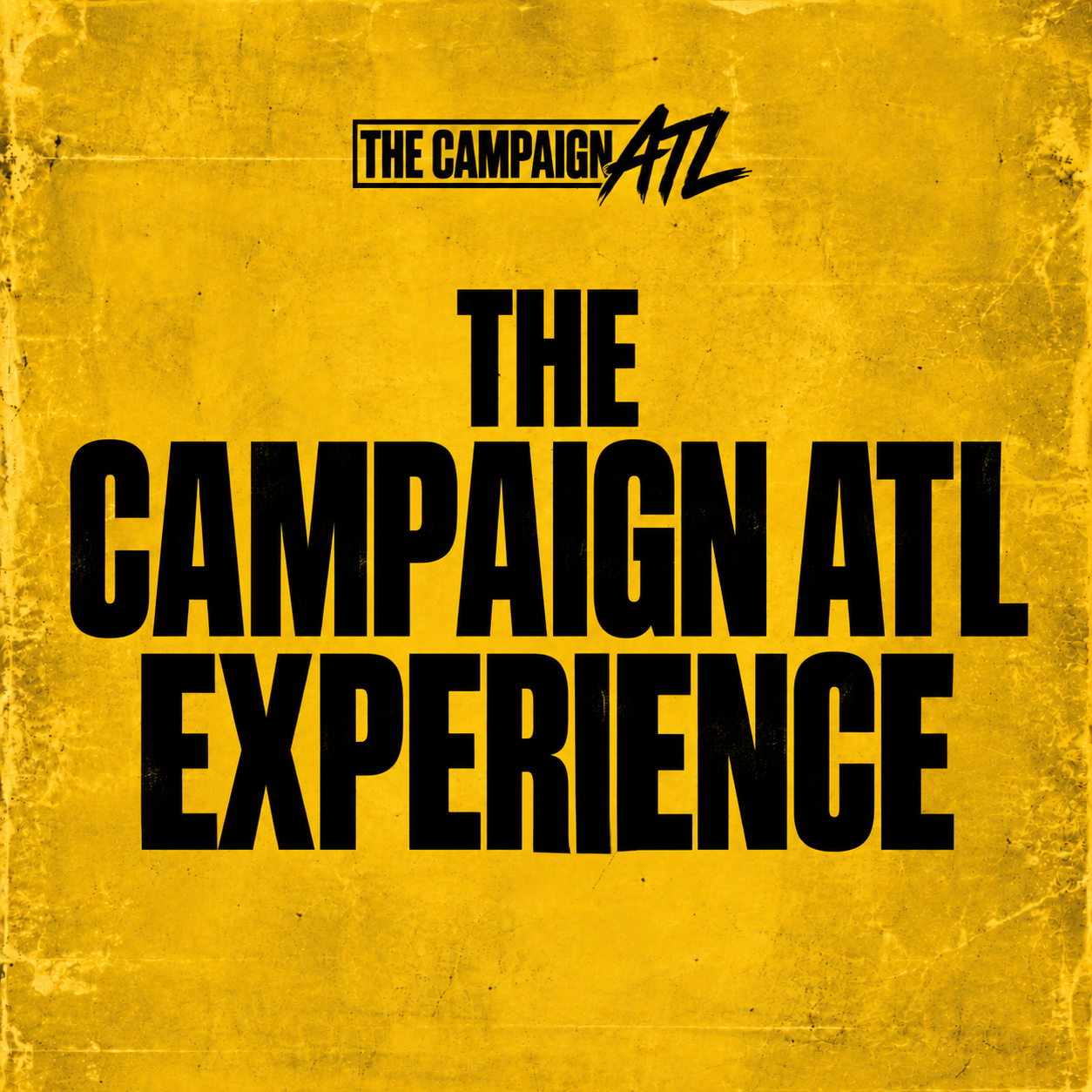 Campaign Artist Experience