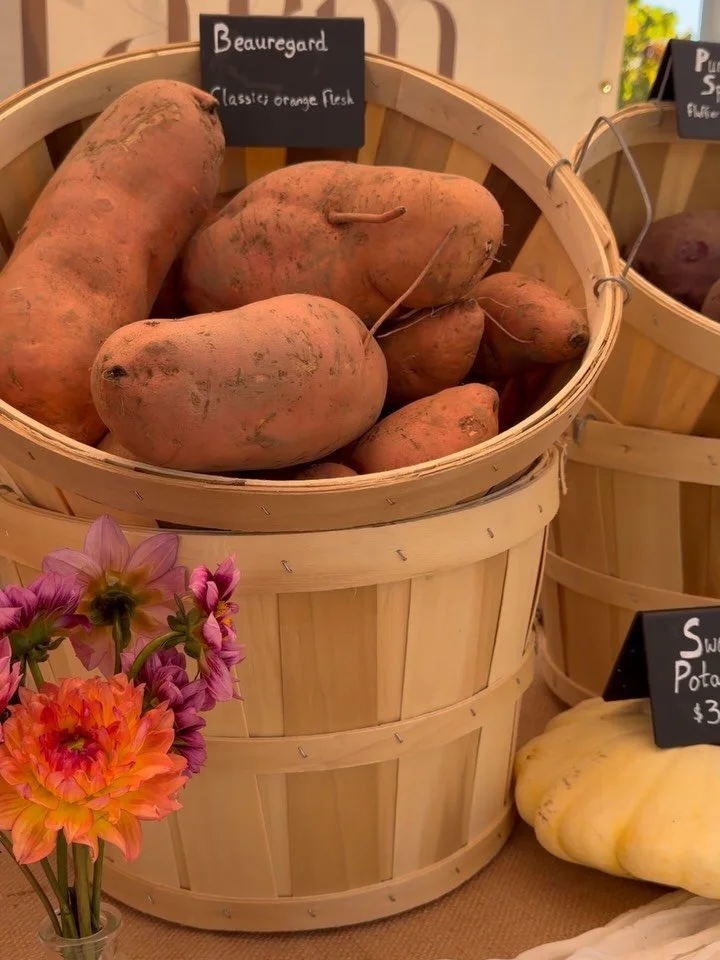 We&rsquo;re closing out our last few Fridays at the Saint Helena Farmers Market with a few new items: Winter Squash and Sweet Potatoes. - m.