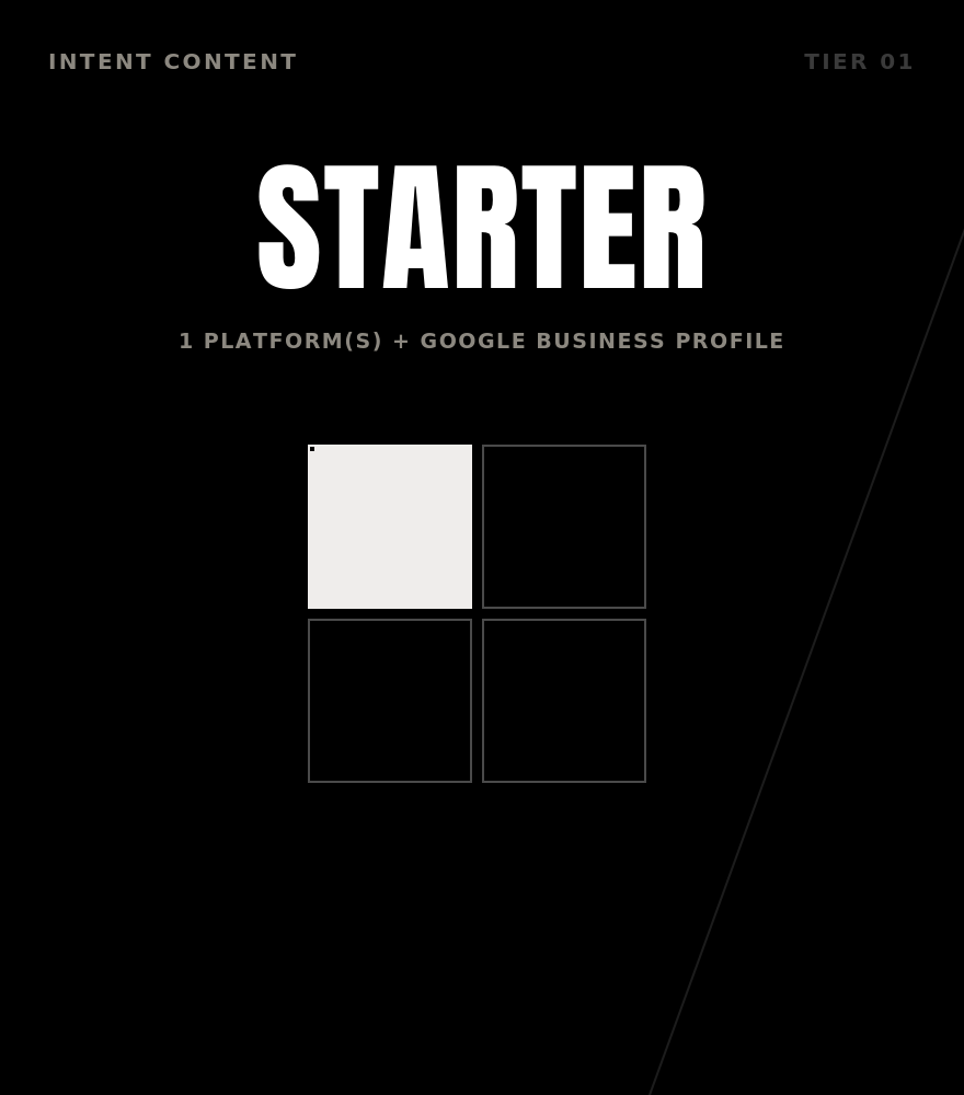 Design template titled 'STARTER' with four square placeholders, one filled with light gray, signifying a beginner package including a Google Business Profile.