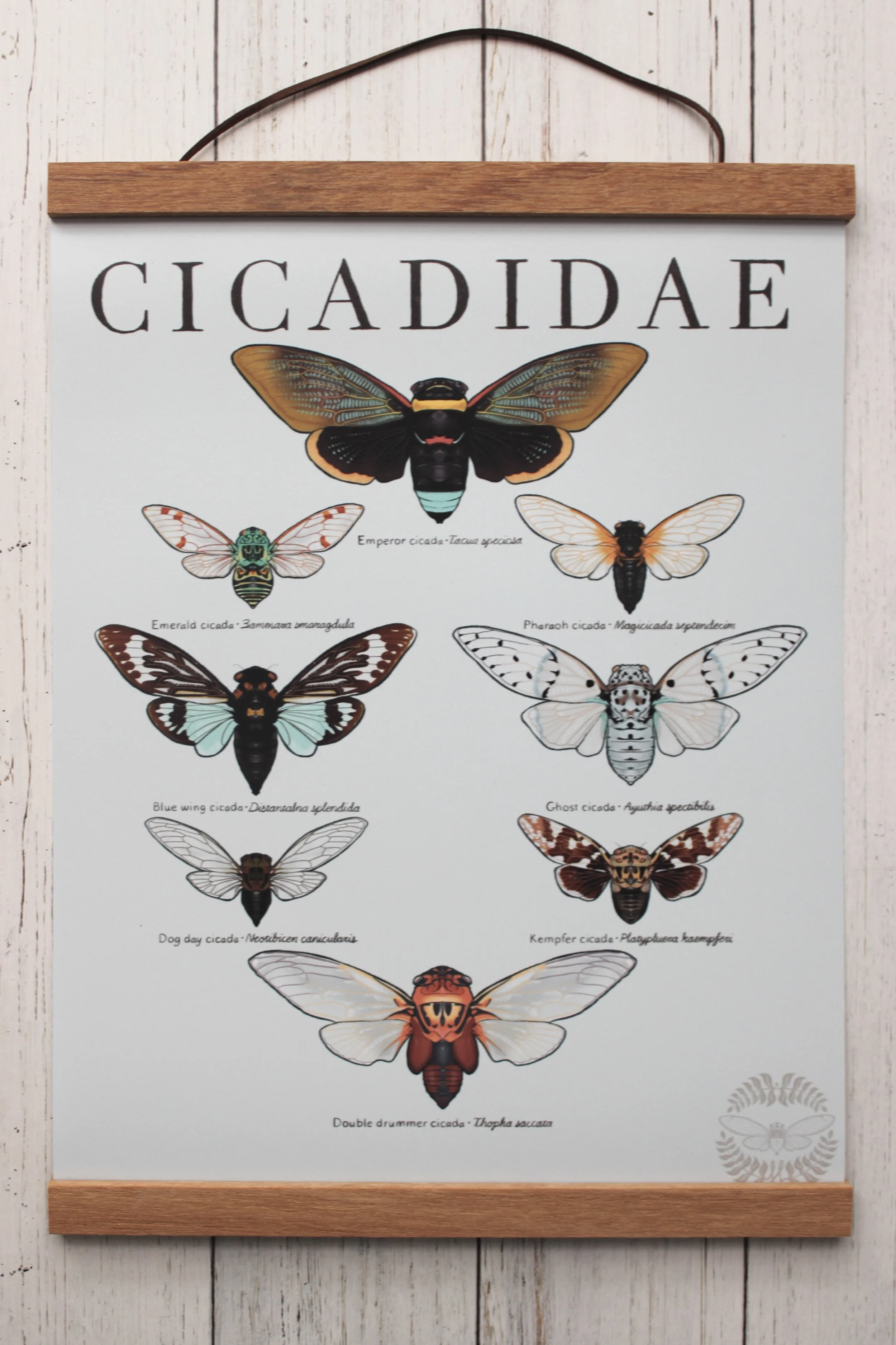Bug Posters