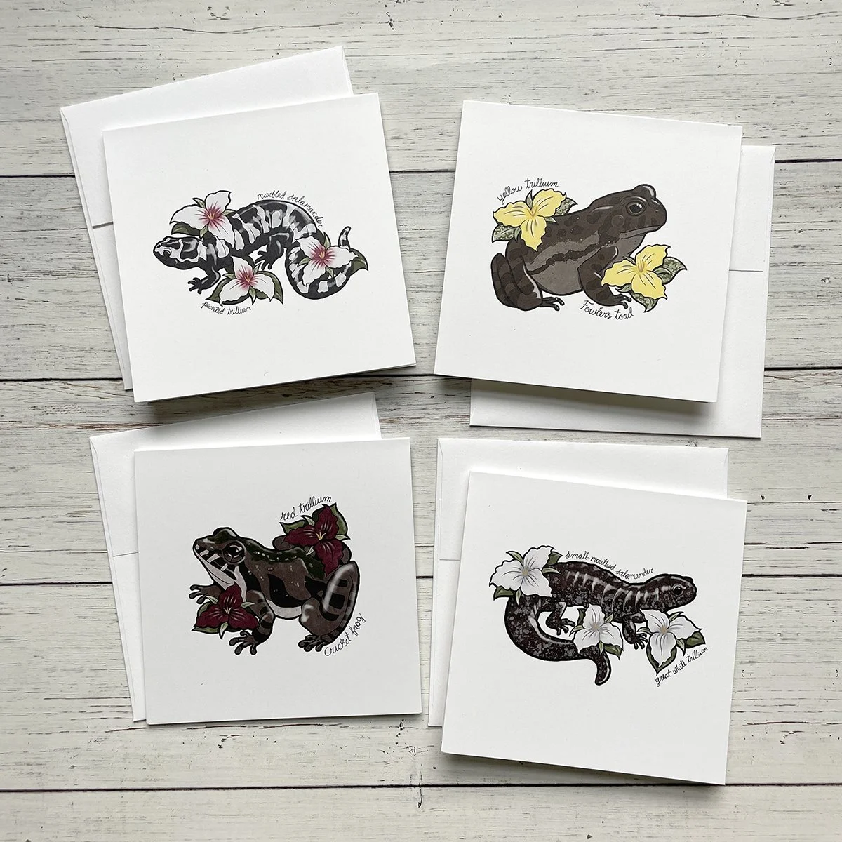 Endangered Amphibians Greeting Card Pack