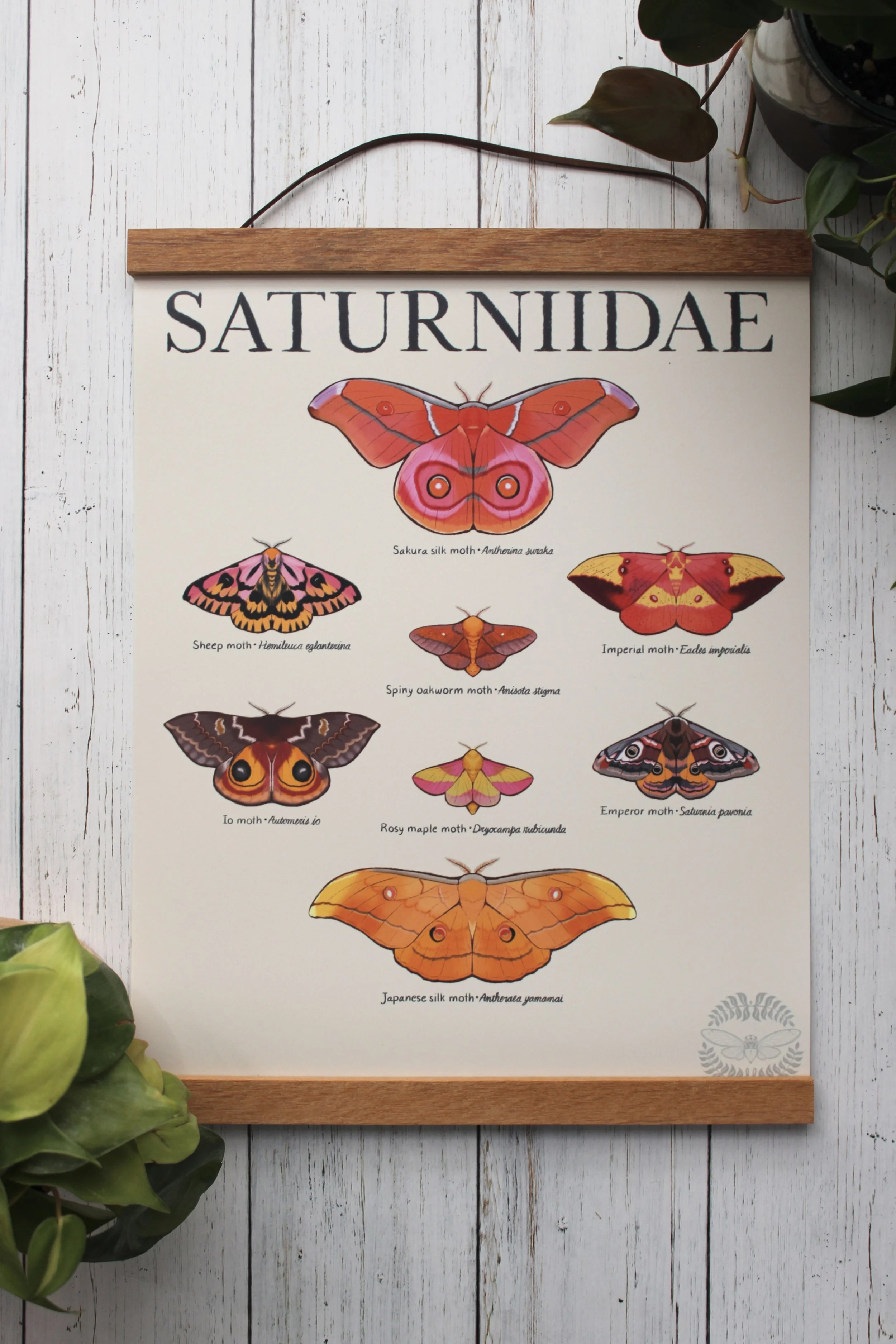 Bug Posters