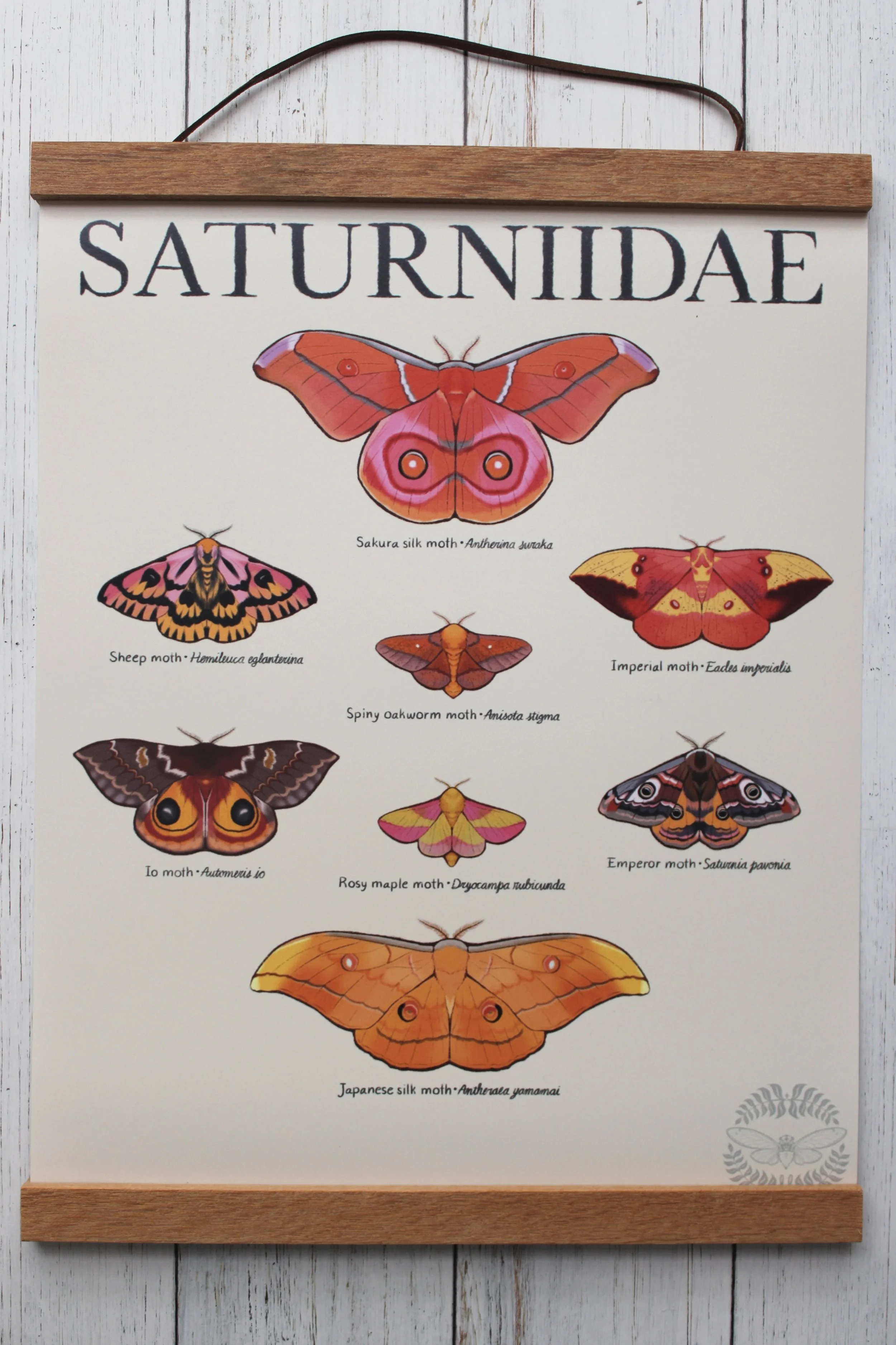 Bug Posters