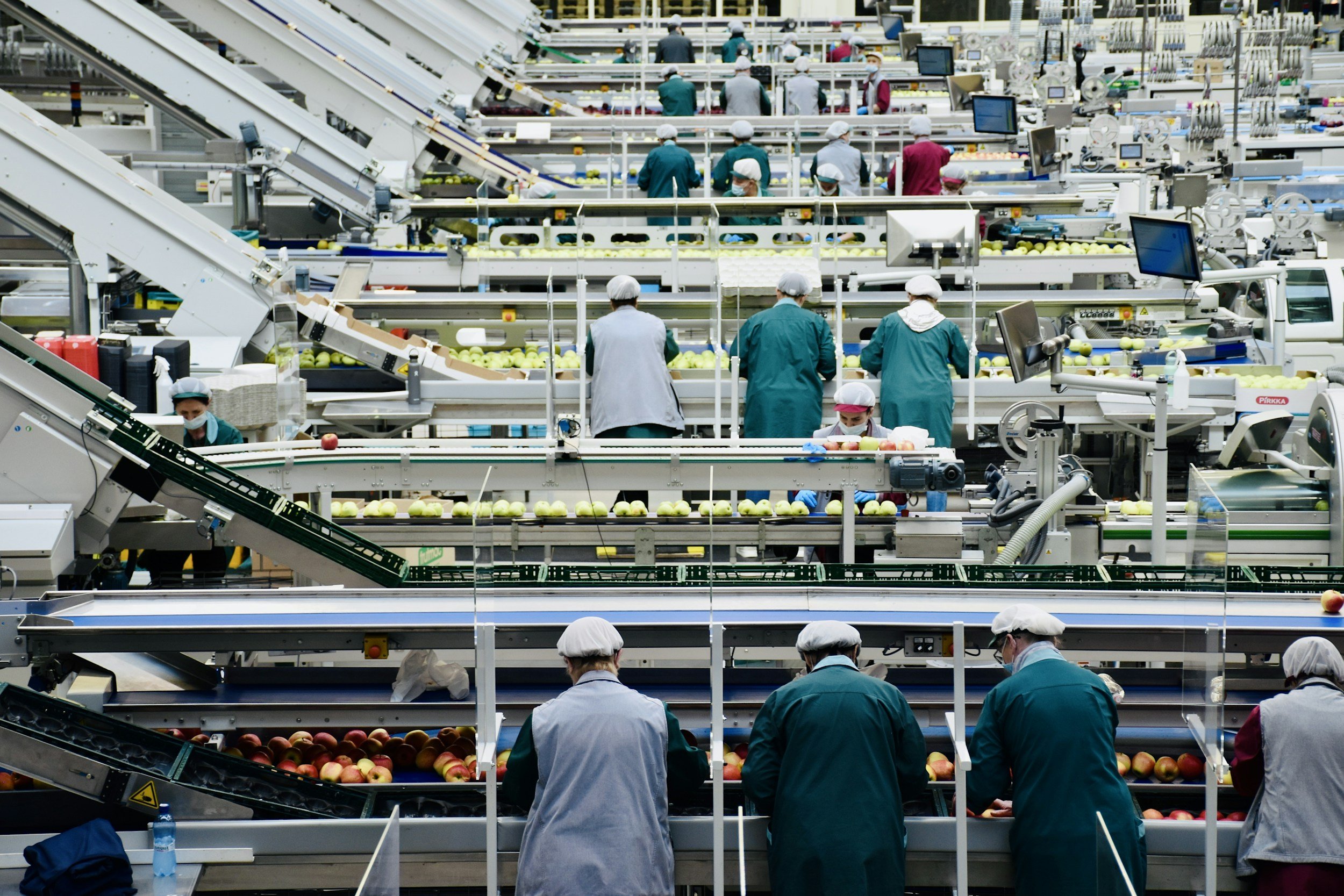 Workers in a fruit processing facility assembling apples on conveyor belts in a large industrial setting.