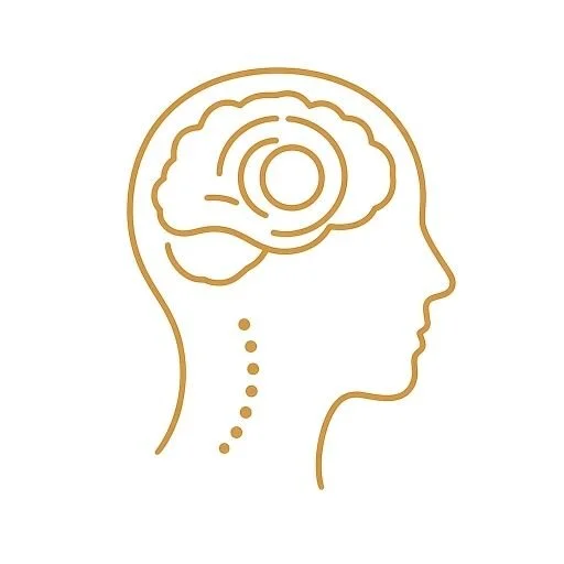Line drawing of a side profile of a human head with a brain illustration inside, connected to the neck with a dotted line, in gold on a white background, representing the craniosacral system.