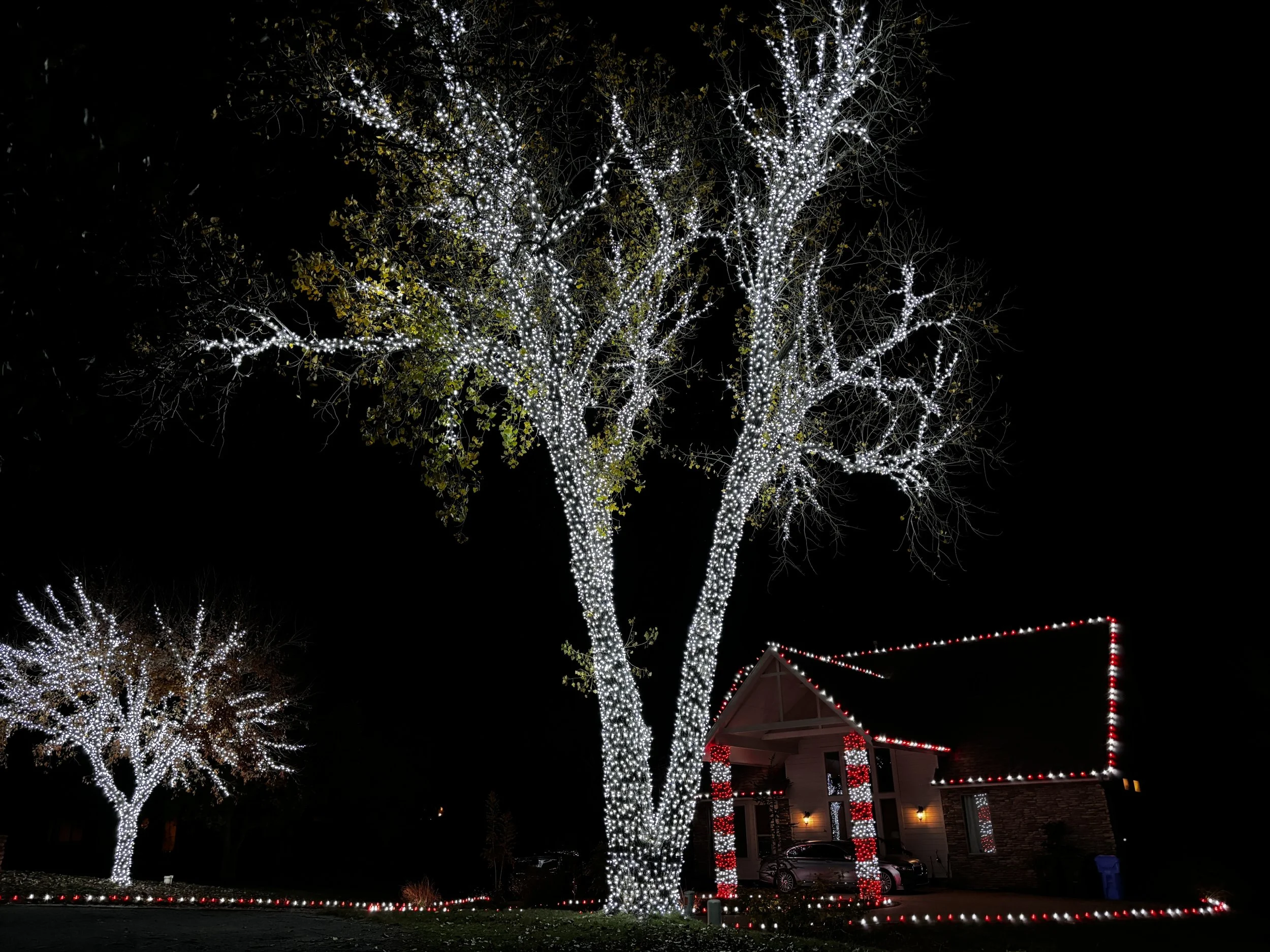 Christmas lights wrapped on large trees with red and white striped pillars, holiday lighting installation by First Line Services