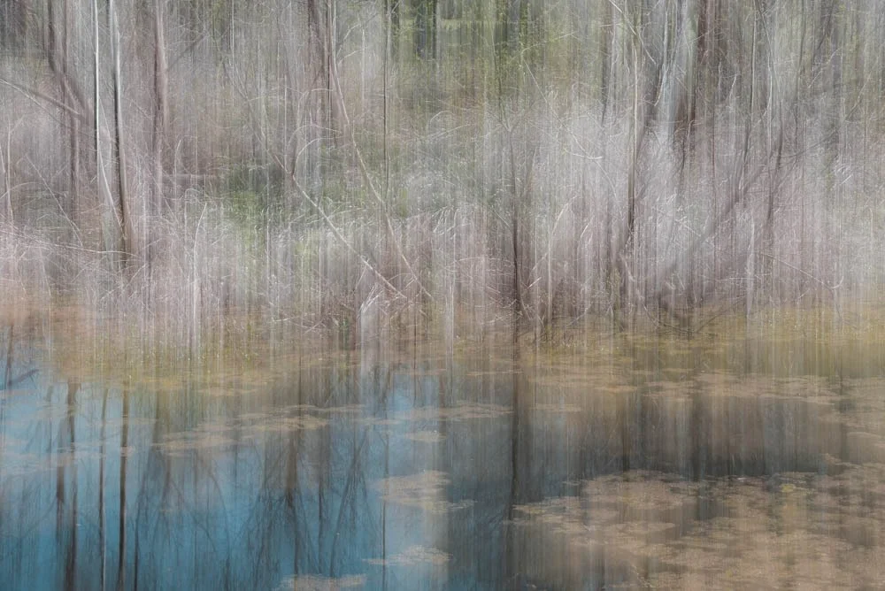 Whispering Echoes of the Waterwood 
