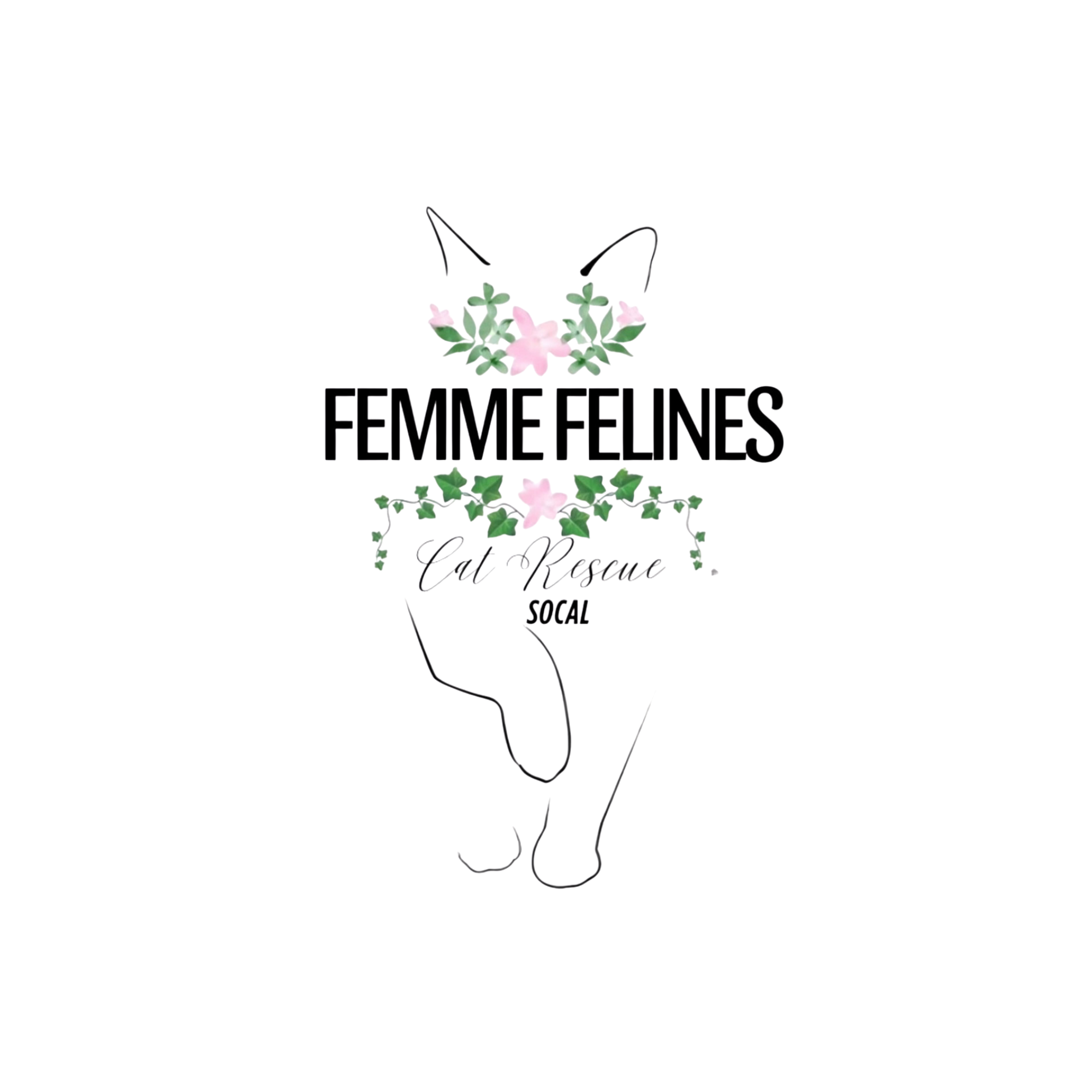 65.png