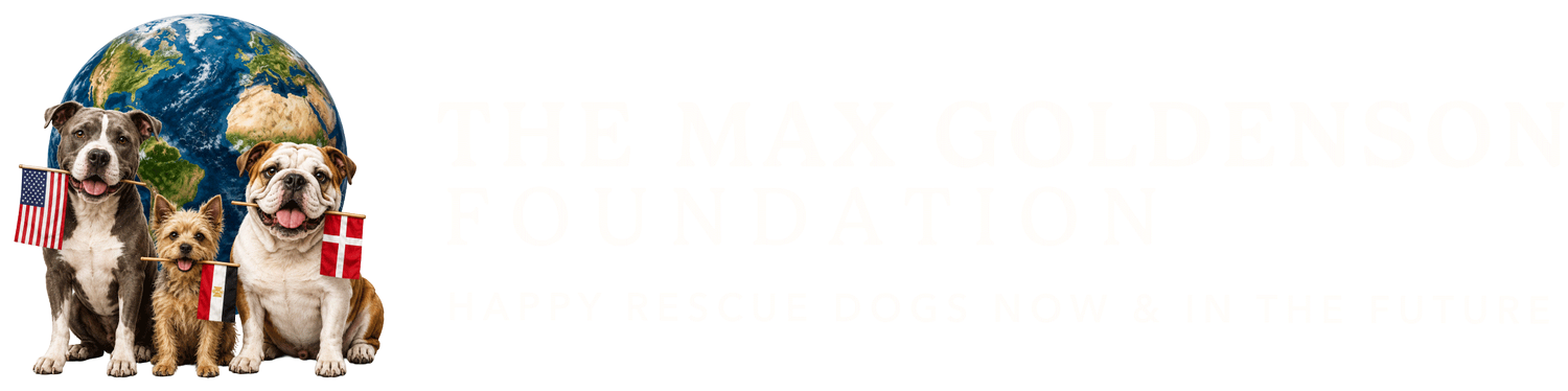 Max Goldenson Foundation