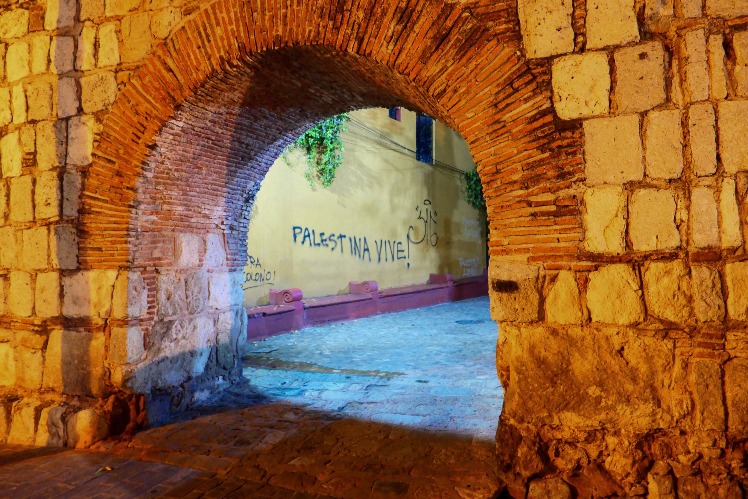 An ancient brick archway opening to a narrow street with graffiti on a wall reading 'Palestina Vive!' and some greenery hanging from above.