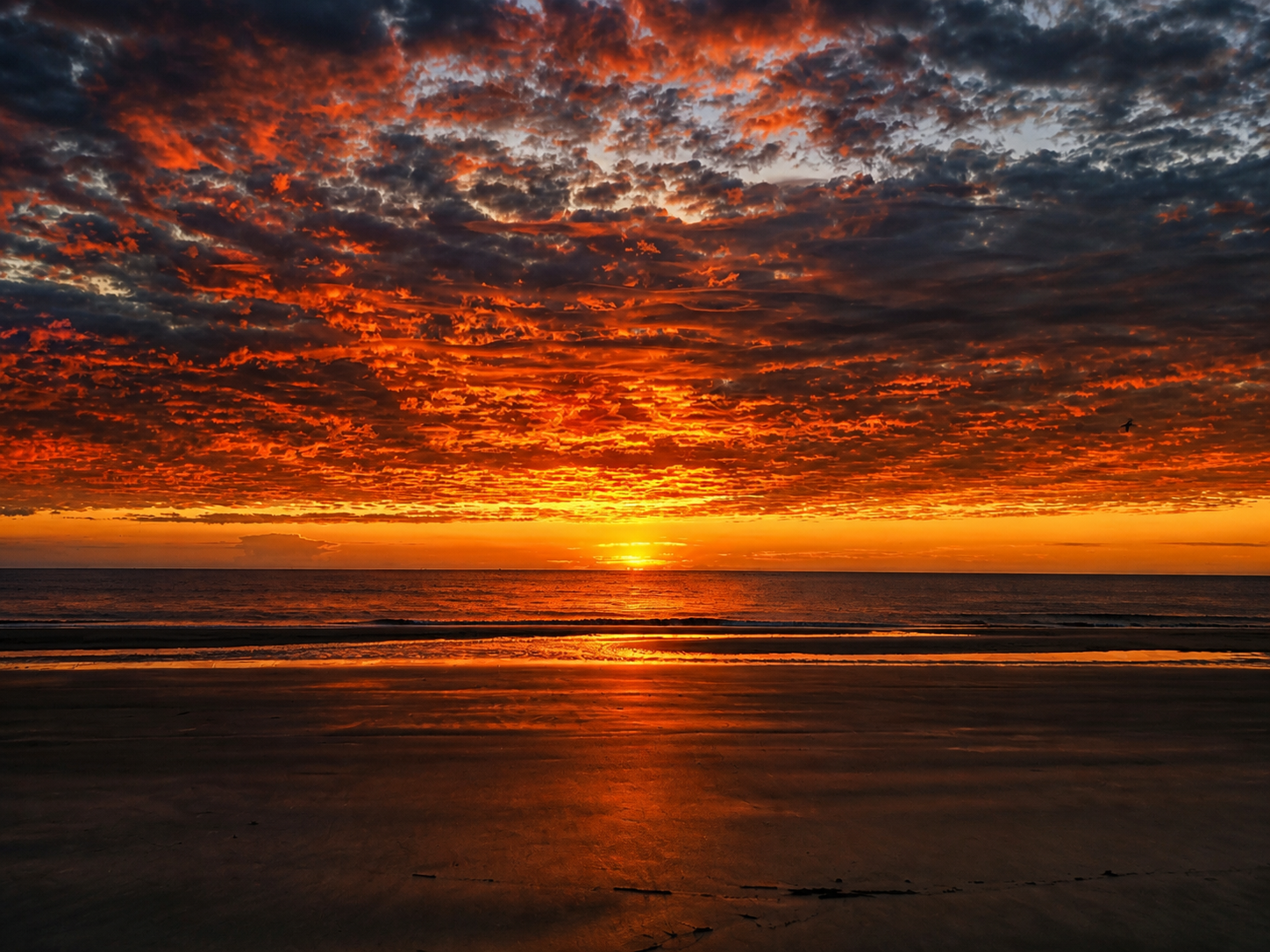 Landscapes & Nature