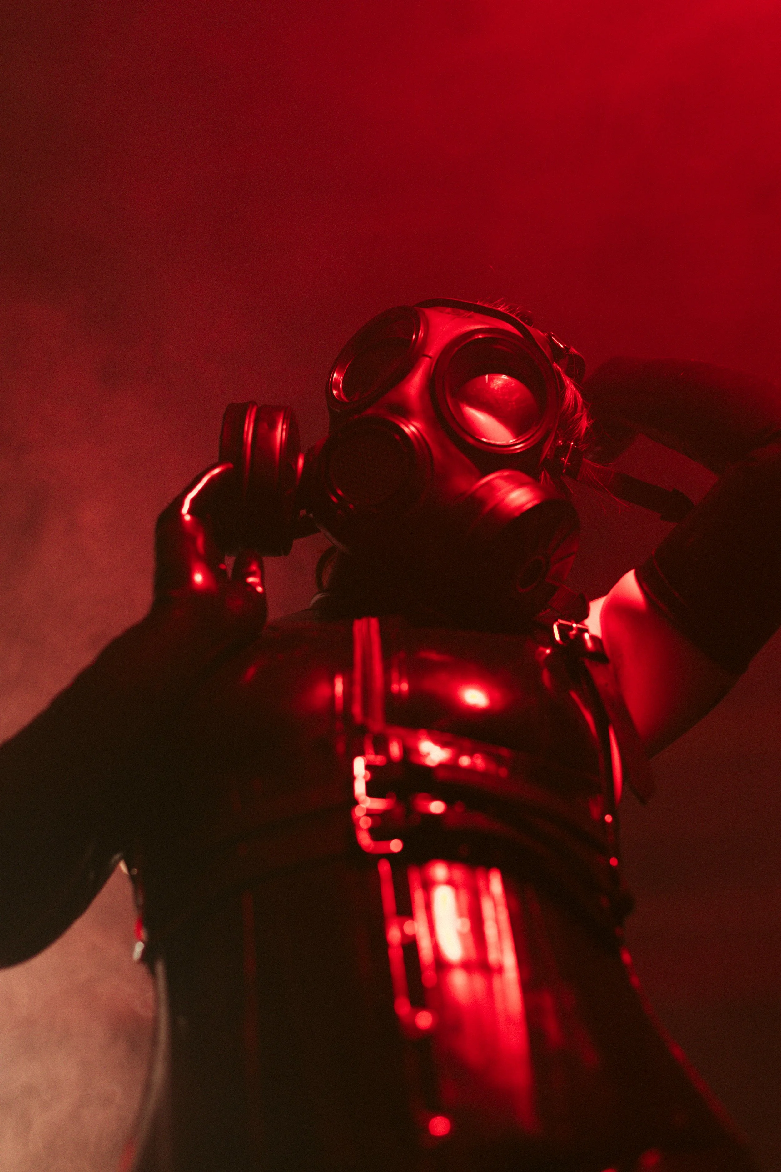 080424-latex-biscuit-kass-19.jpg