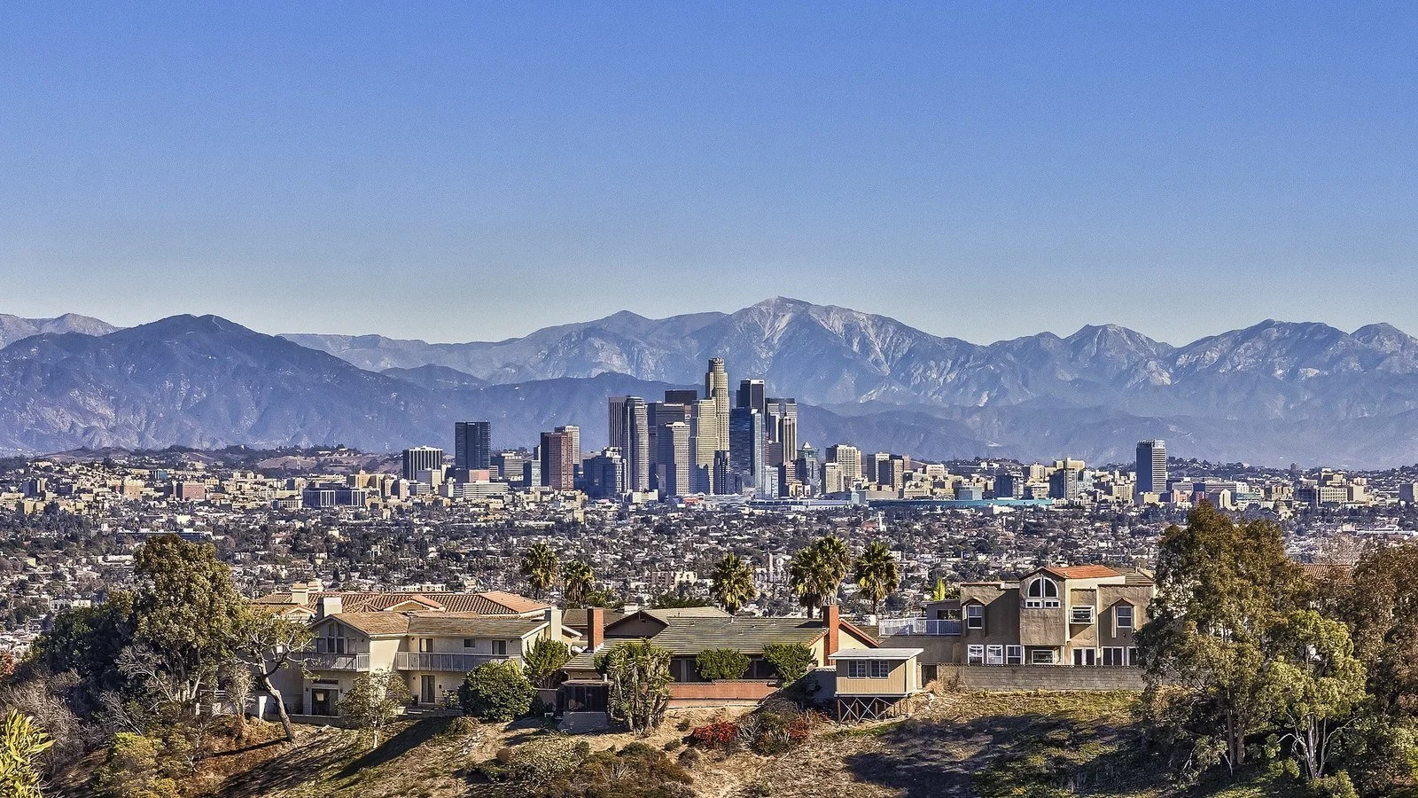 View of Los Angeles skyline with downtown buildings, palm trees, and mountains in the background.