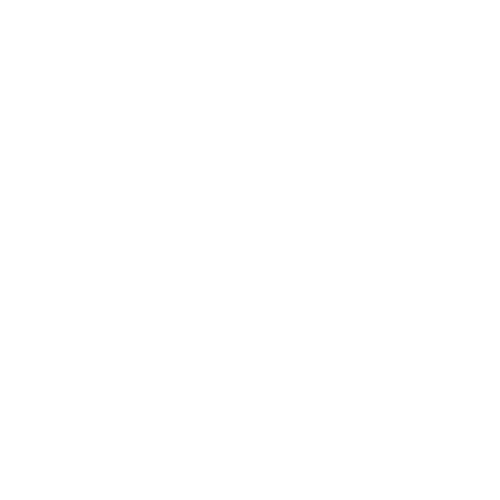 Outline icon of a person speaking at a podium in front of an audience with a government-style building in the background.