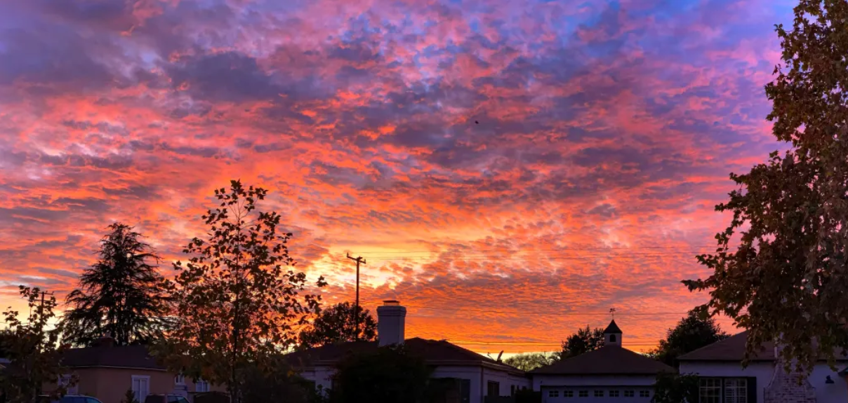 Abundant Sunset