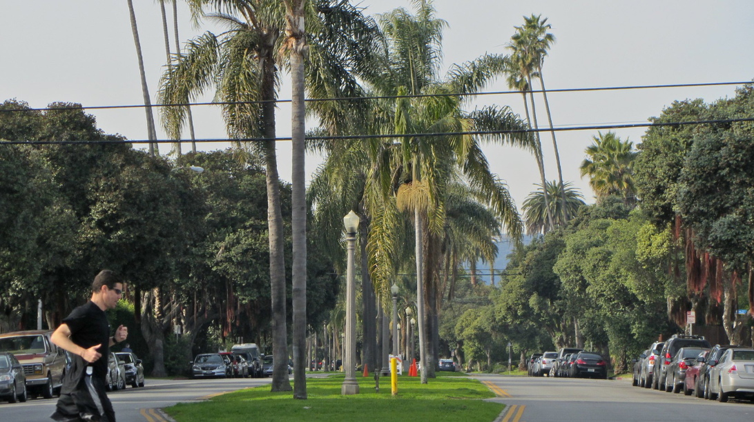 Friends Of The Purple Line (Miracle Mile)