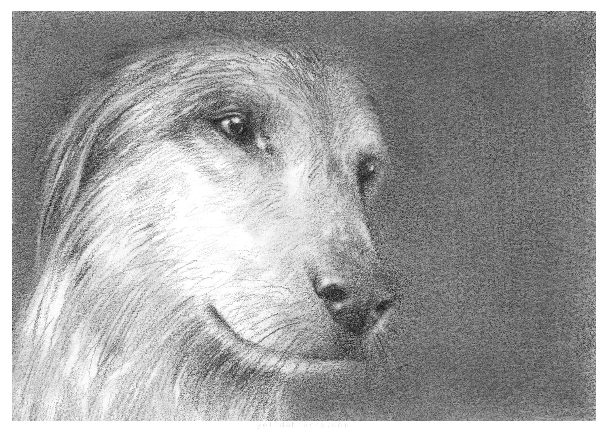 Graphite on Paper 2.5" x 3.5"