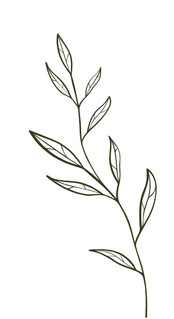 Outline of a botanical branch with leaves on a black background.