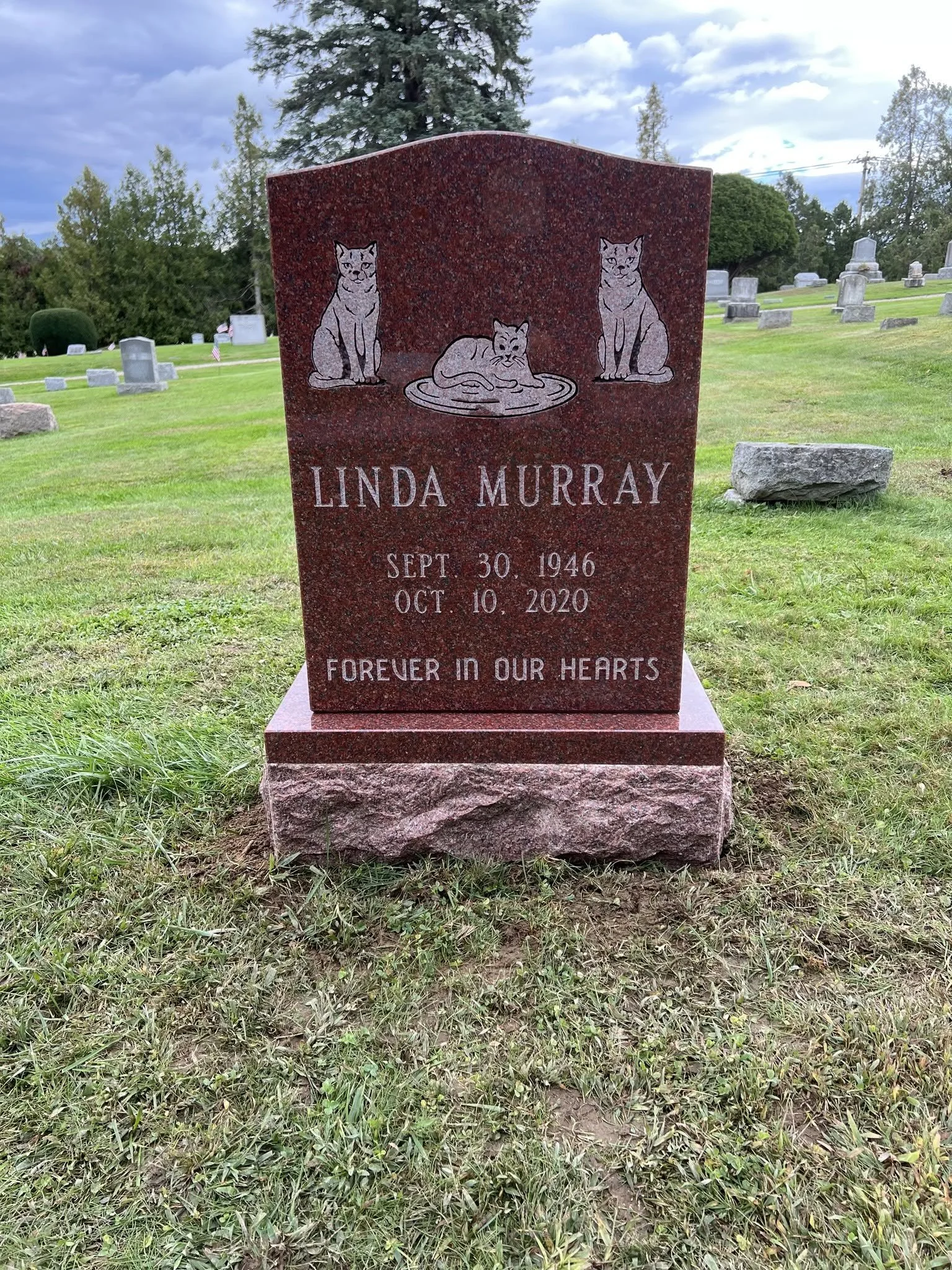 MURRAY.jpg