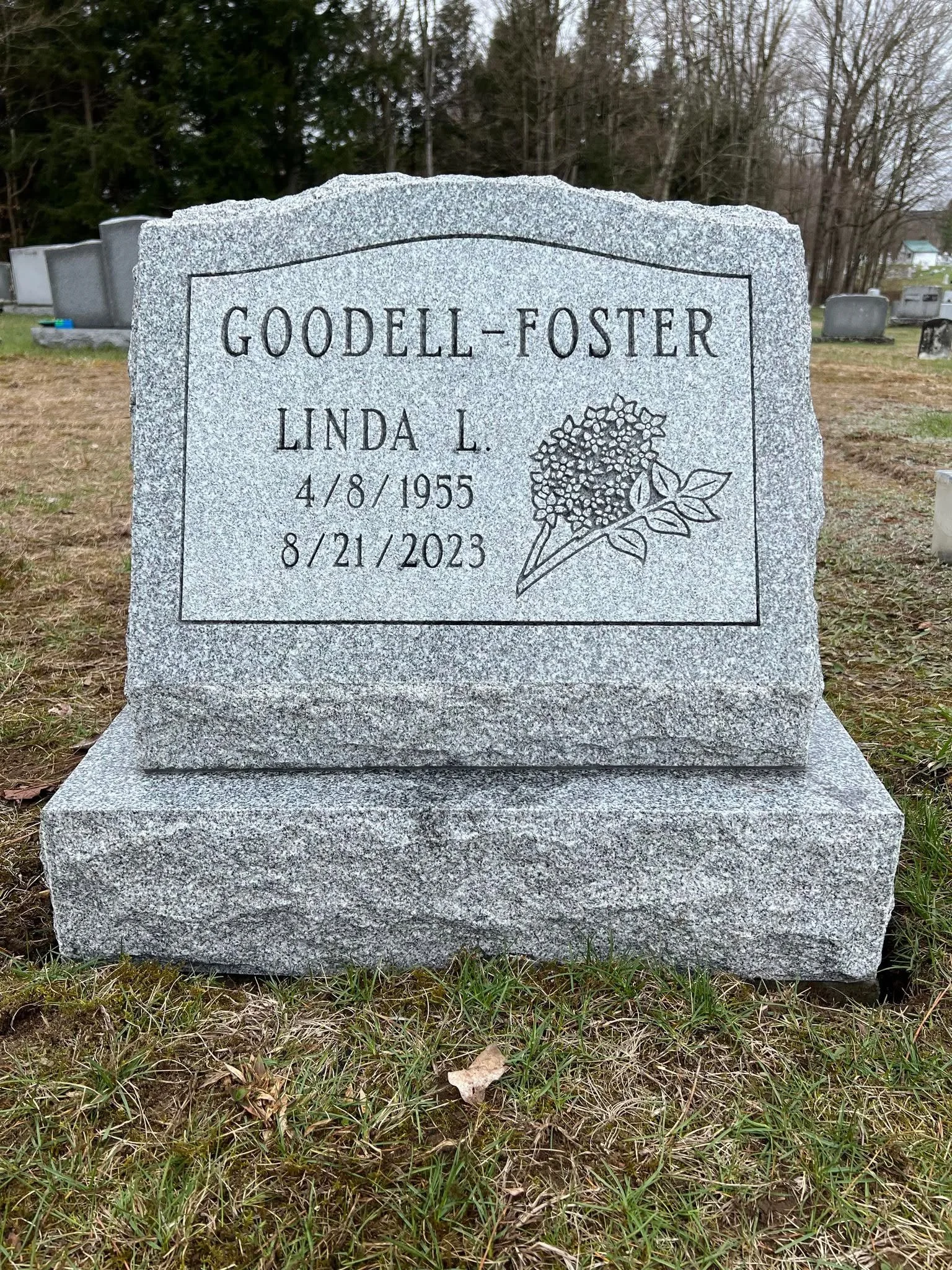 Goodell-foster.jpg