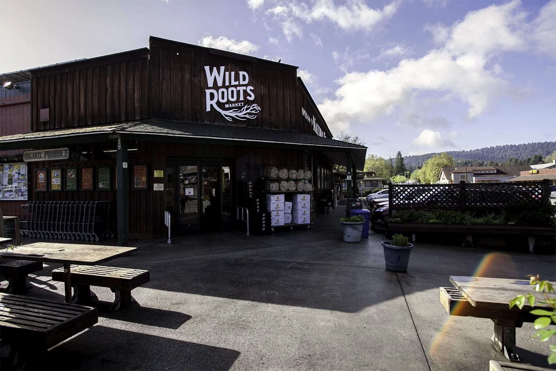 Exterior of Wild Roots Market with outdoor seating area, stacked logs, shopping carts, and a parking lot, under a partly cloudy sky with sunlight and a rainbow lens flare.