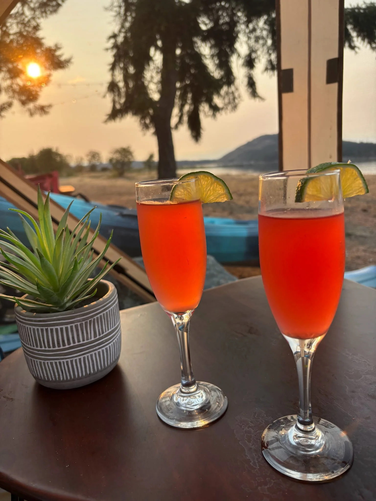 Two glasses of pinkish-orange drinks with lime wedges on a dark table outdoors during sunset. A potted succulent plant is on the left, and trees and a mountain are in the background.