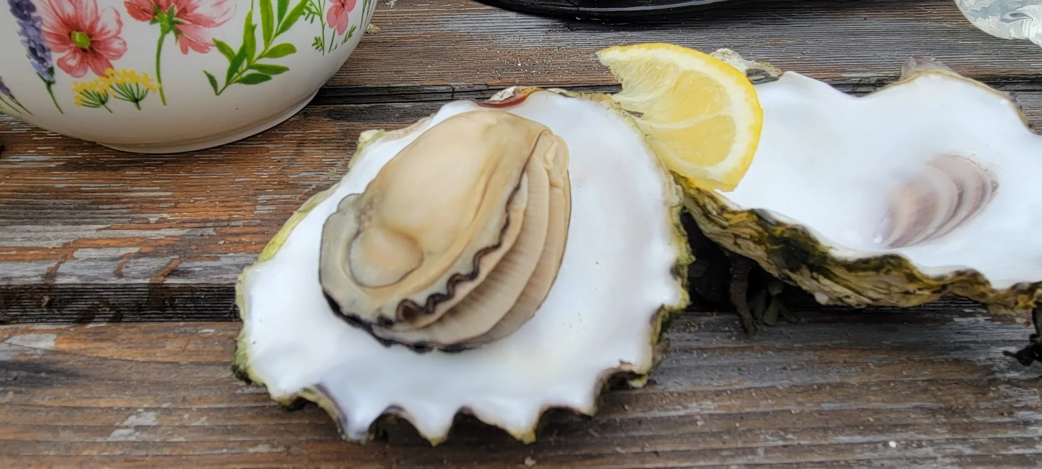 A fresh opened oyster with a lemon wedge on a weathered wooden surface of a table.