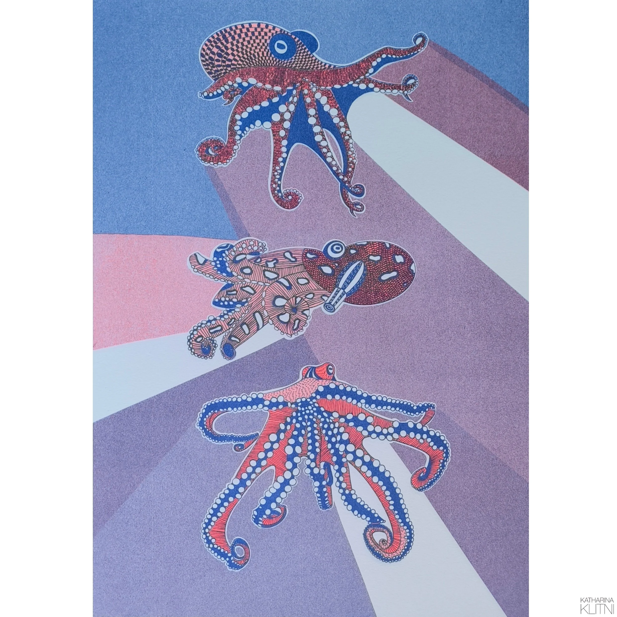 Kraken. Risographie. 2025