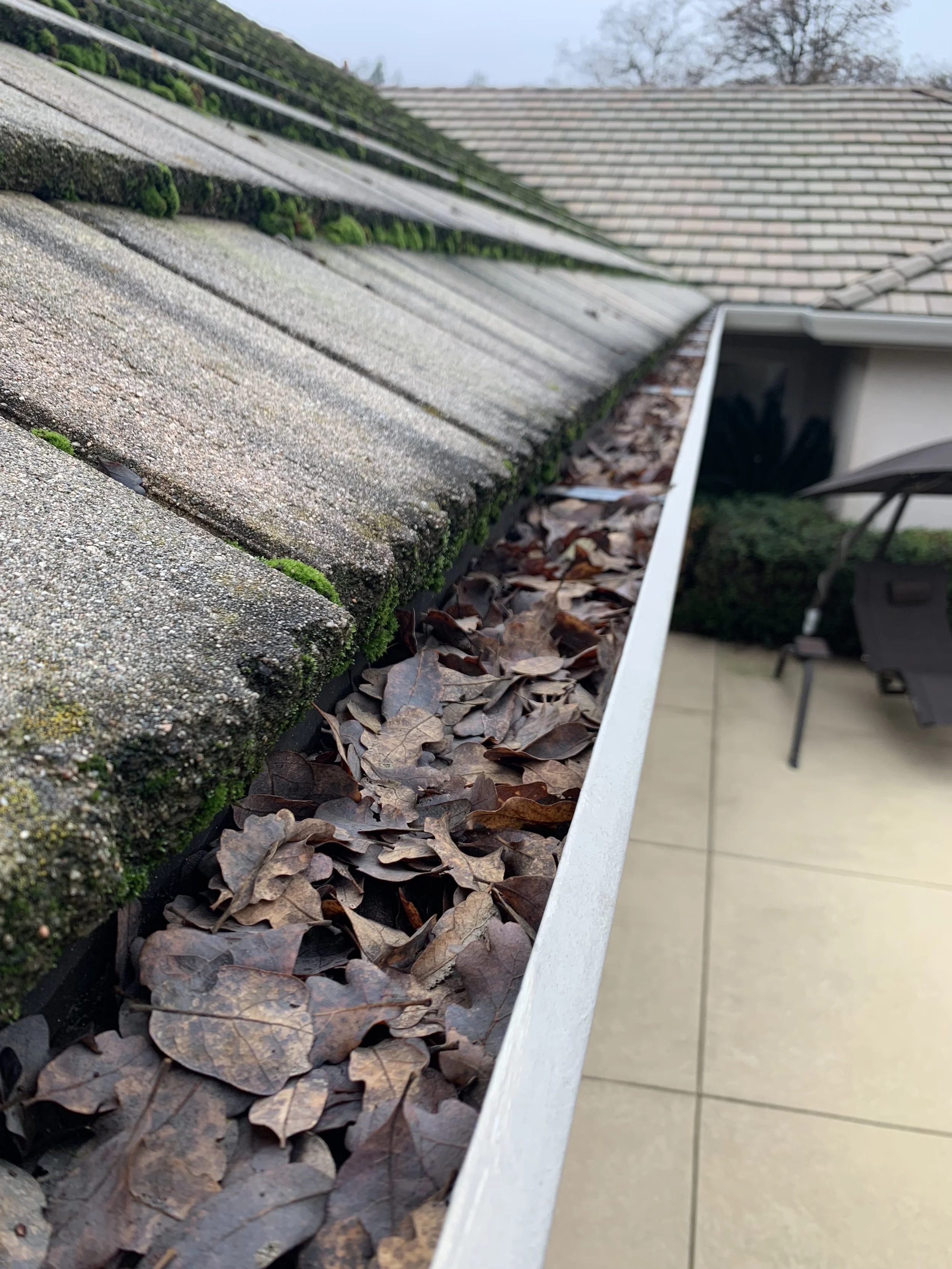 Gutter Cleaning