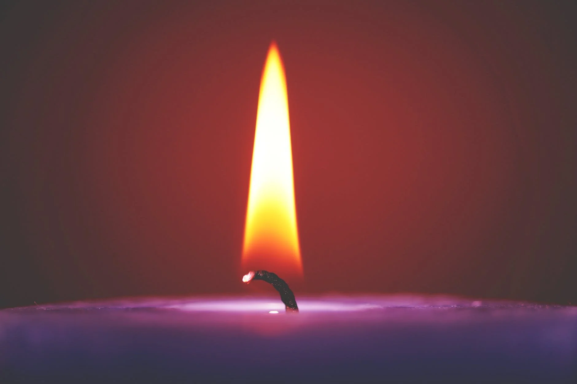 Constant Vigilance: A Sermon for Advent 1
