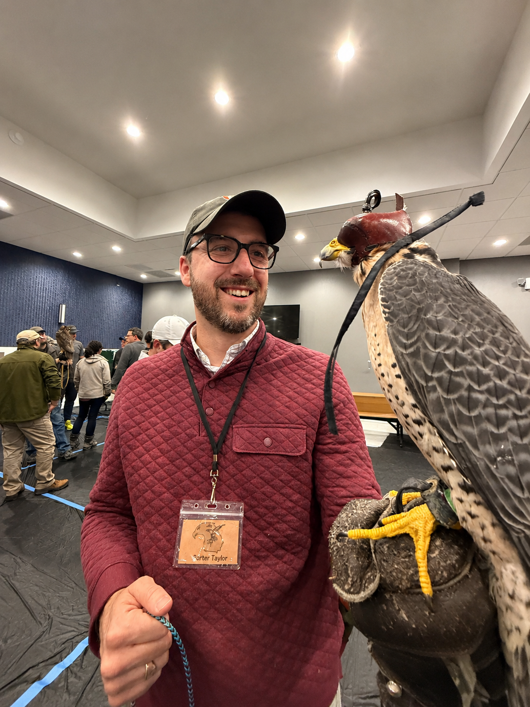 porter taylor falconry