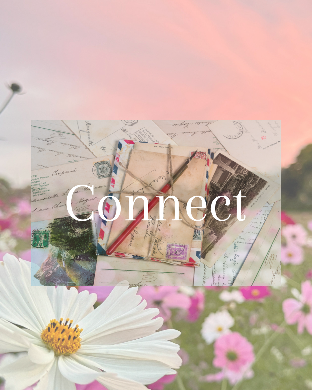 A collection of vintage postcards, letters, and photographs arranged on a pink and purple background with flowers, overlaid with the word 'Connect' in white text.